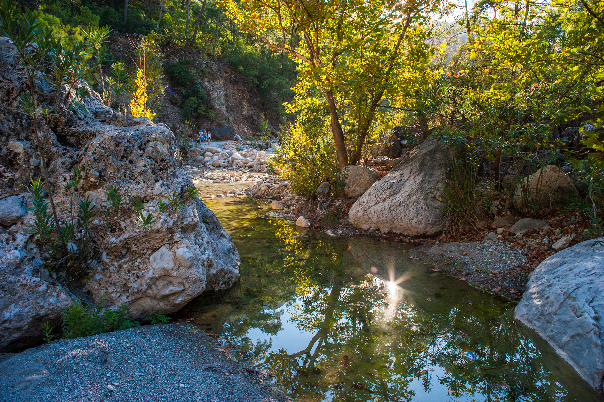 Nikon D700 + Sigma 24mm F2.8 Super Wide II Macro sample photo. Kemer photography