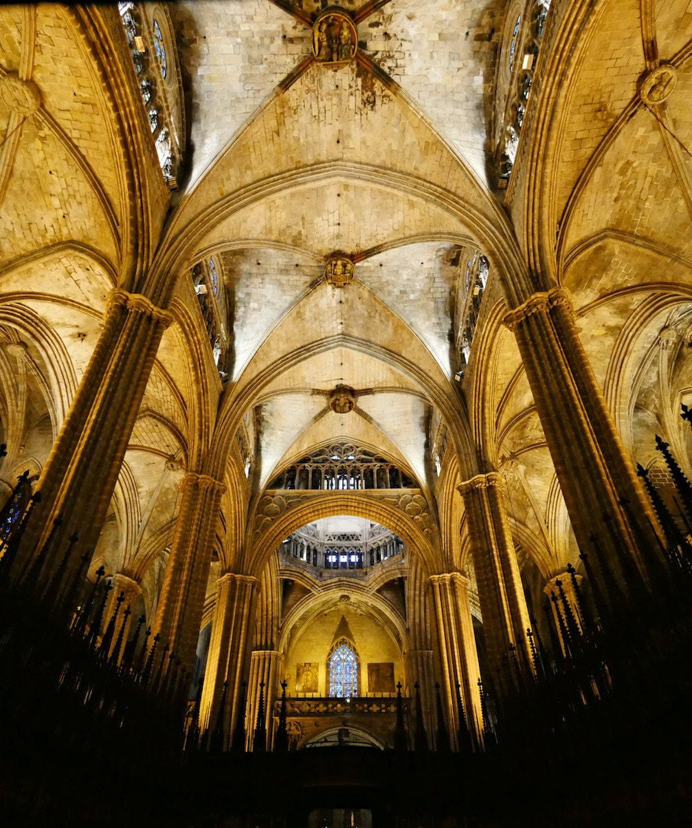 Panasonic Lumix DMC-GH4 + Panasonic Lumix G Vario 7-14mm F4 ASPH sample photo. La seu catheral photography