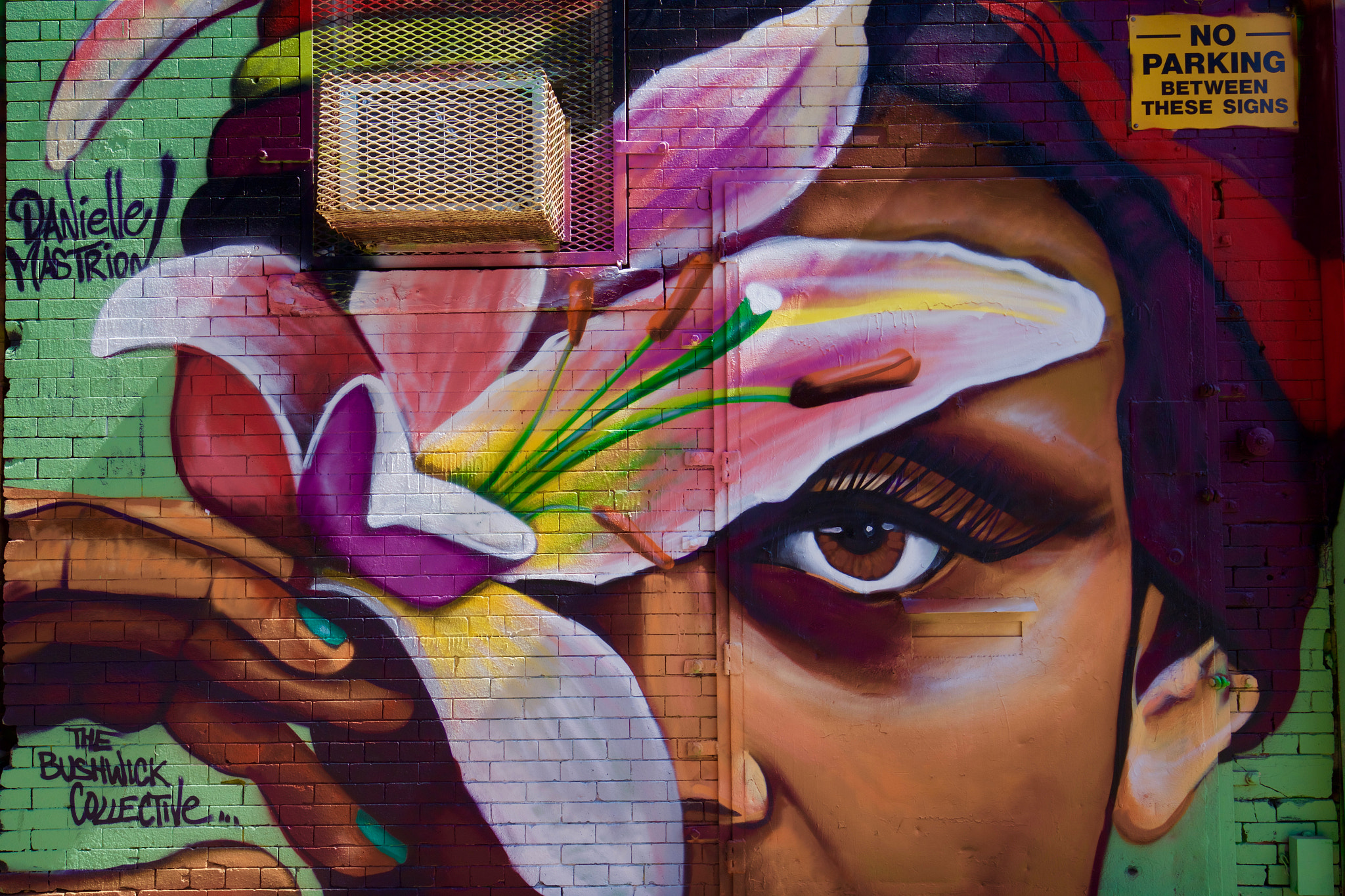 Canon EF 16-35mm F4L IS USM sample photo. Bushwick street art photography
