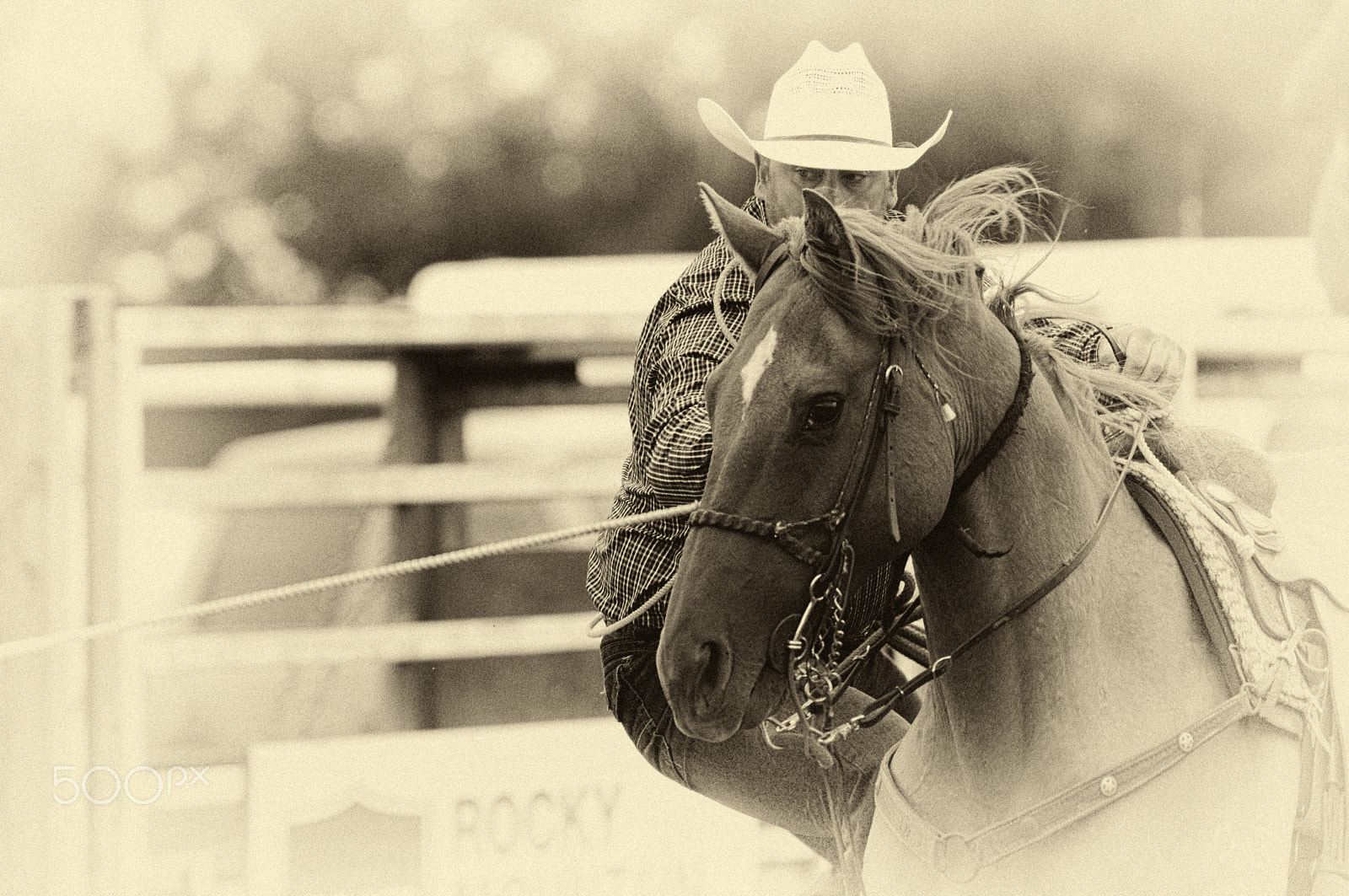 Nikon D2X sample photo. Eyes of a cowboy photography