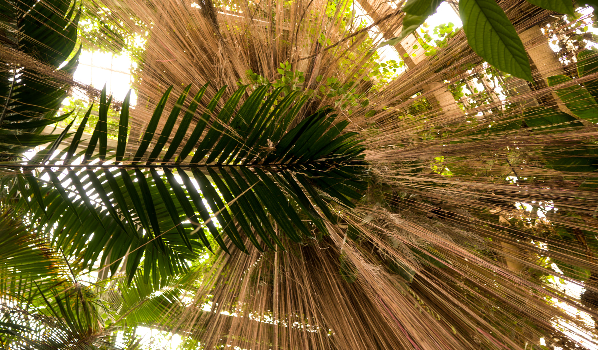 ZEISS Batis 18mm F2.8 sample photo. Shelter* photography