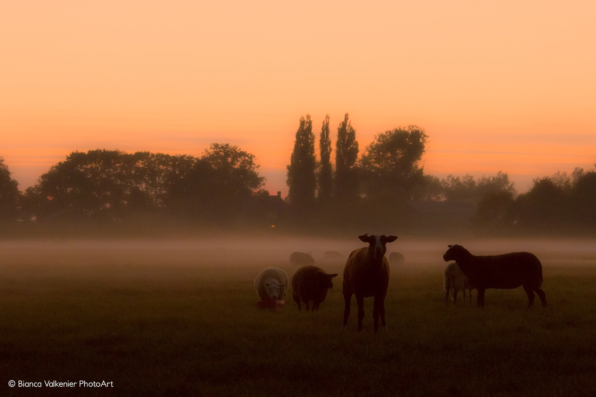 Canon EOS 7D sample photo. Misty evening landscape photography