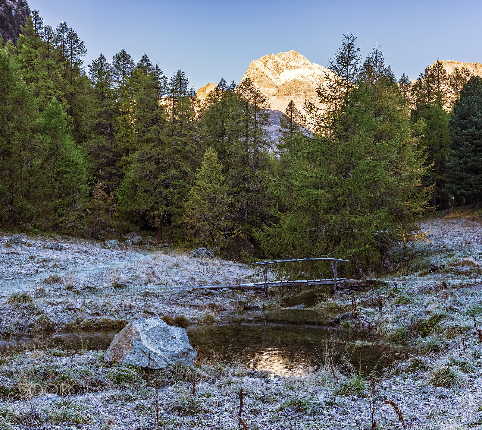 Nikon D810 + Nikon AF-S Nikkor 58mm F1.4G sample photo. Sunrise at parc ela -  switzerland photography