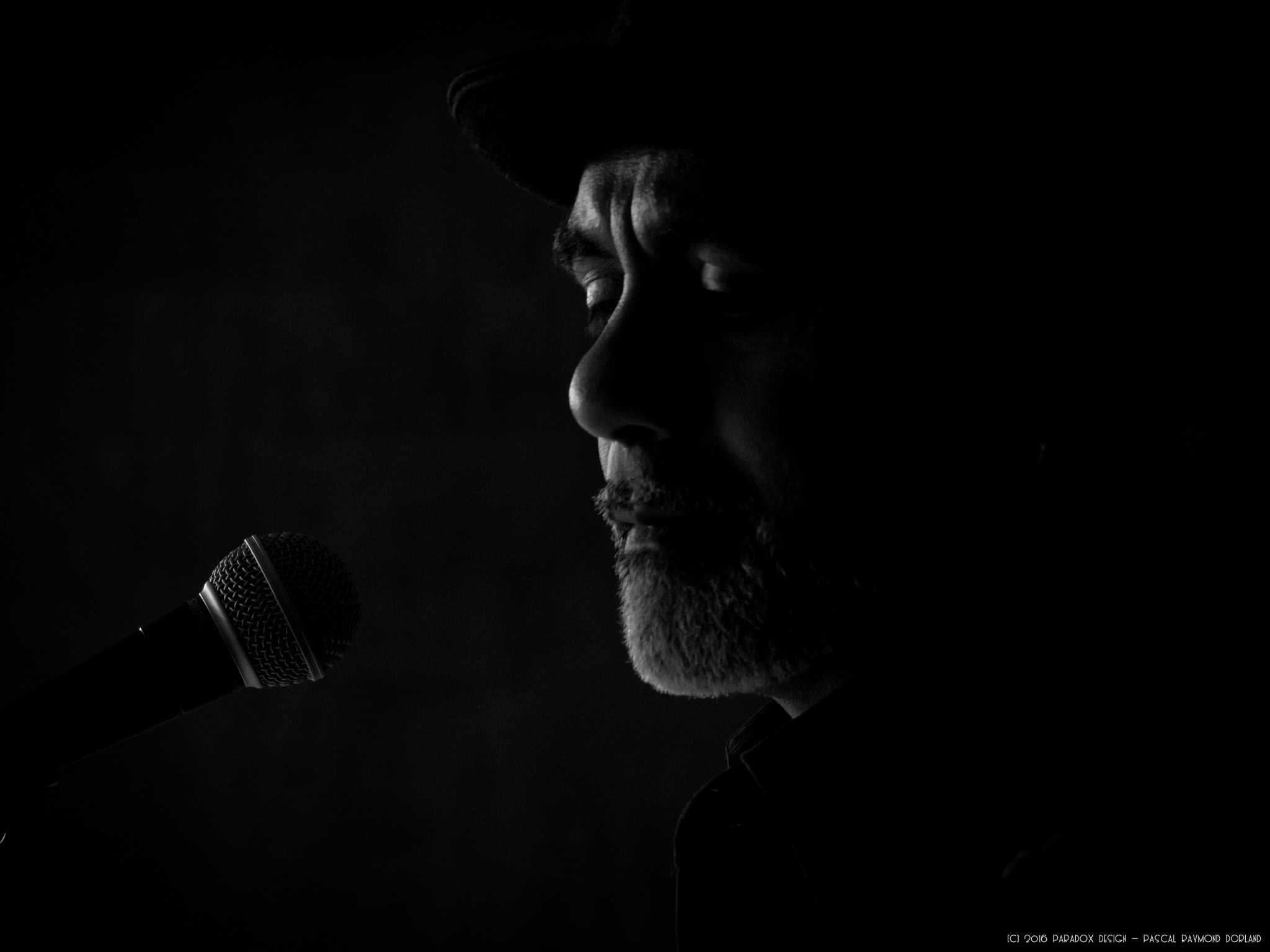 Panasonic Lumix G Vario 45-200mm F4-5.6 OIS sample photo. The guitarman photography