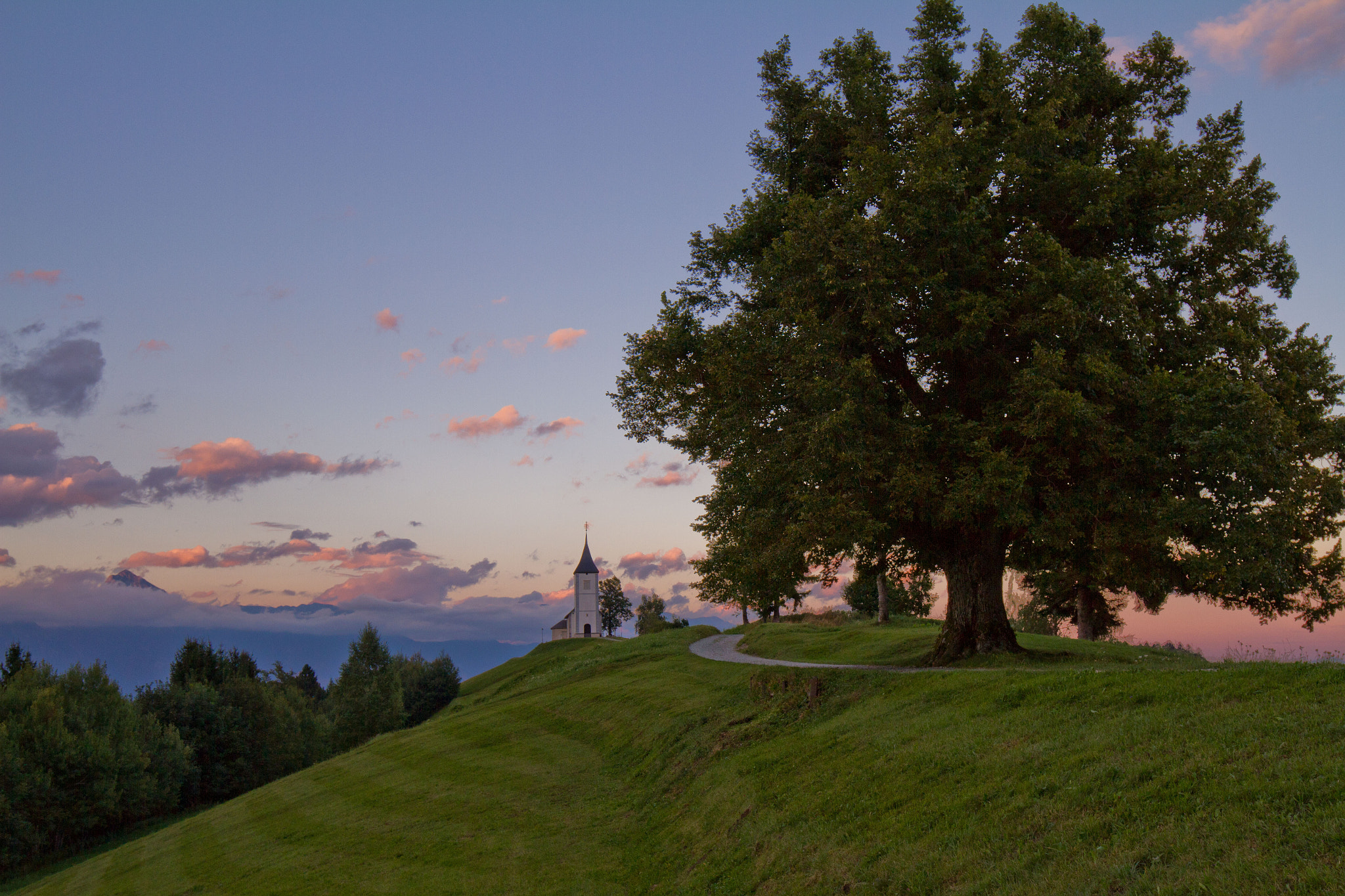 Canon EOS 7D + Canon EF 16-35mm F4L IS USM sample photo. Church of st. primus and felician photography