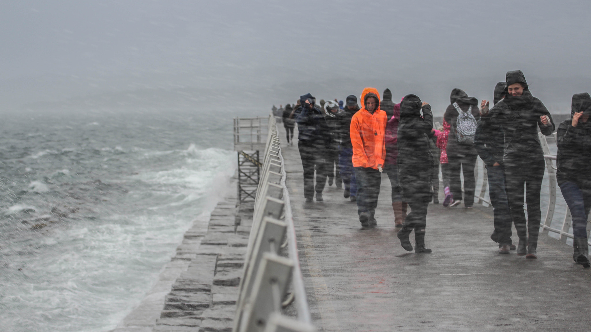 Canon EF 70-300mm F4-5.6L IS USM sample photo. Feeling the storm photography