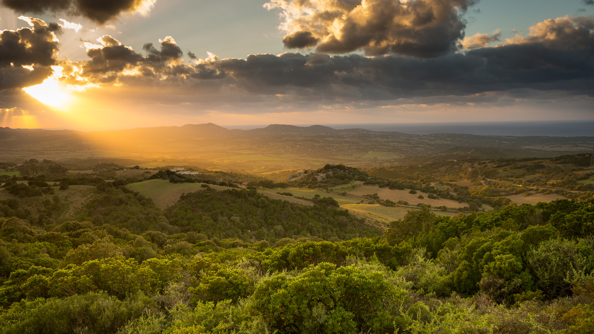 Sony a99 II + Sony Vario-Sonnar T* 16-35mm F2.8 ZA SSM sample photo. Sunset at sardinien photography