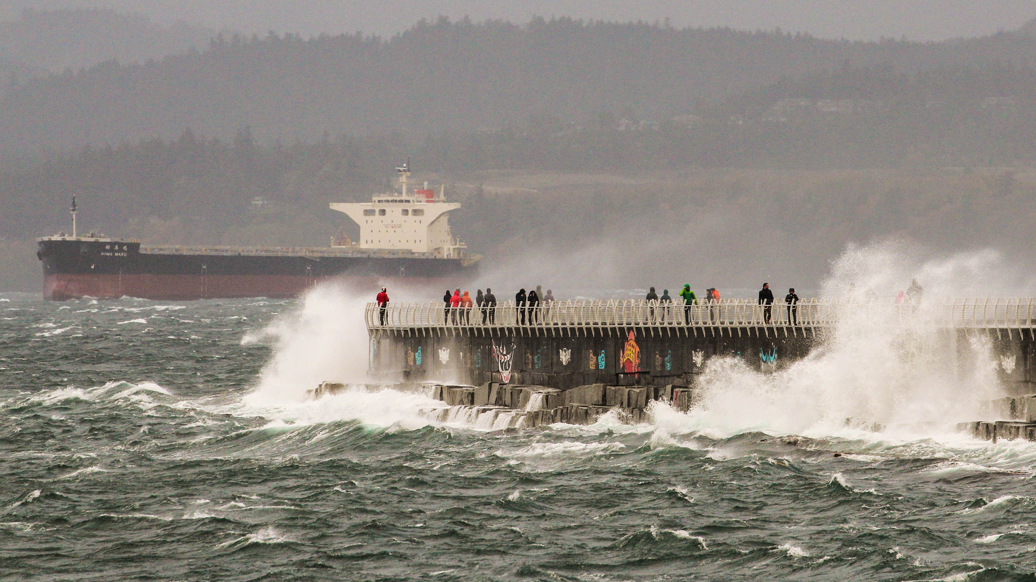 Canon EF 70-300mm F4-5.6L IS USM sample photo. Storm watchers photography