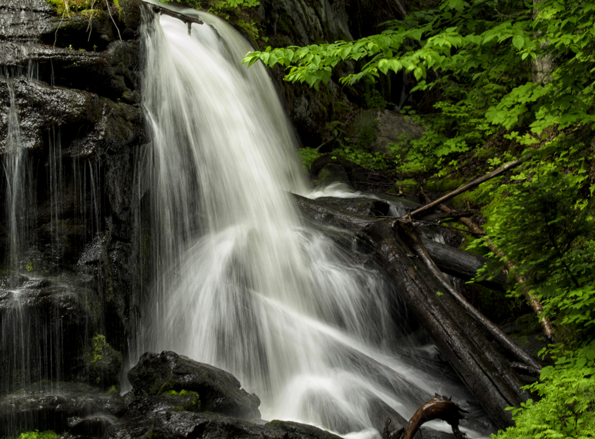 Olympus E-30 sample photo. Nature brute photography