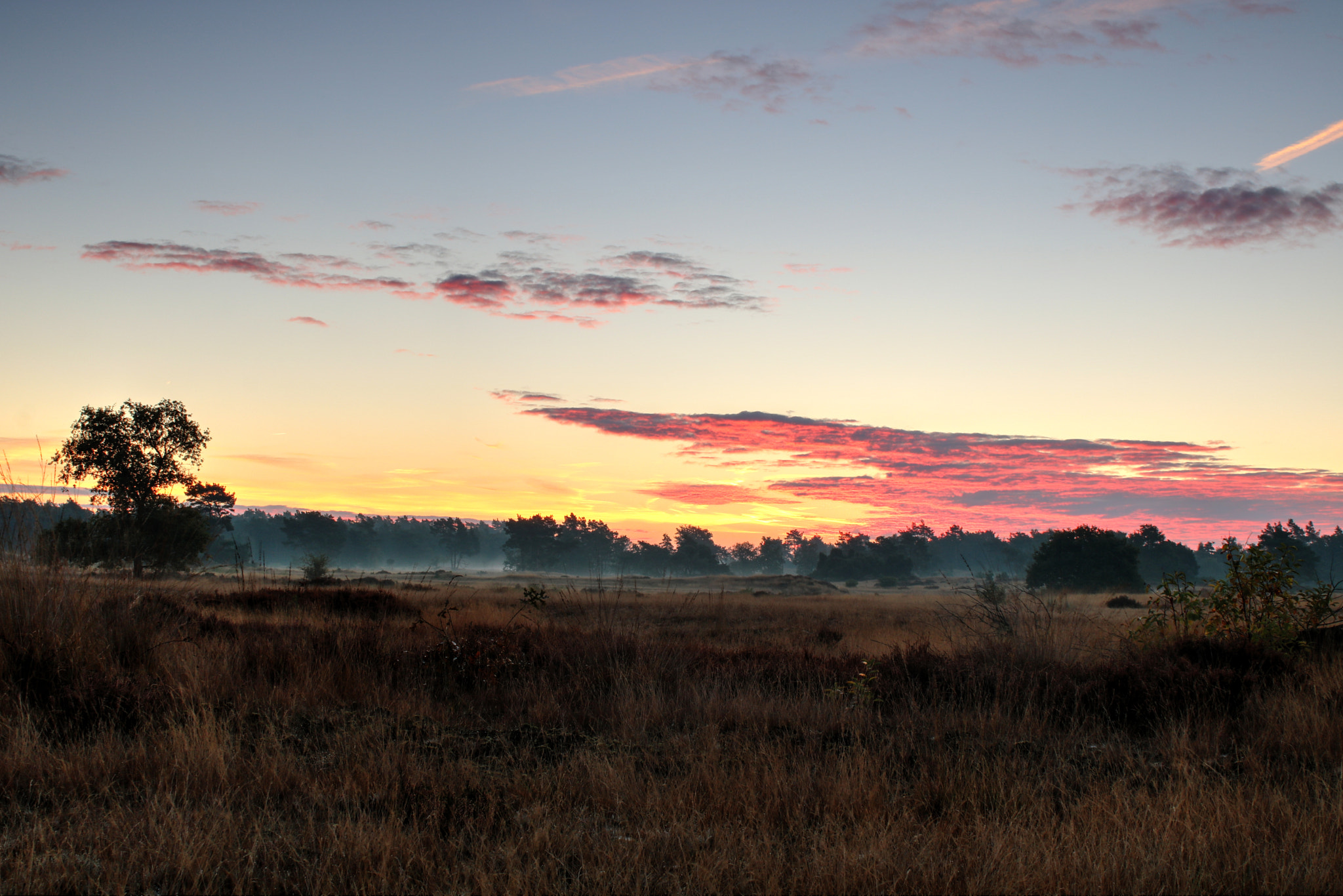 Canon EOS 750D (EOS Rebel T6i / EOS Kiss X8i) sample photo. Morning sky photography