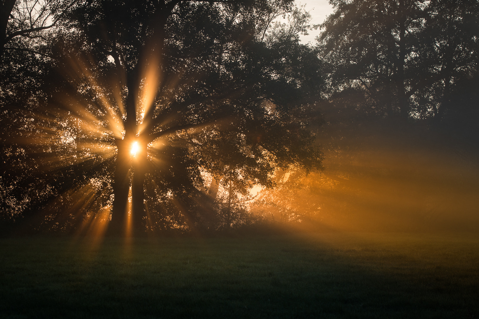 Canon EF 70-200mm F2.8L IS II USM sample photo. Fall sunbeams photography