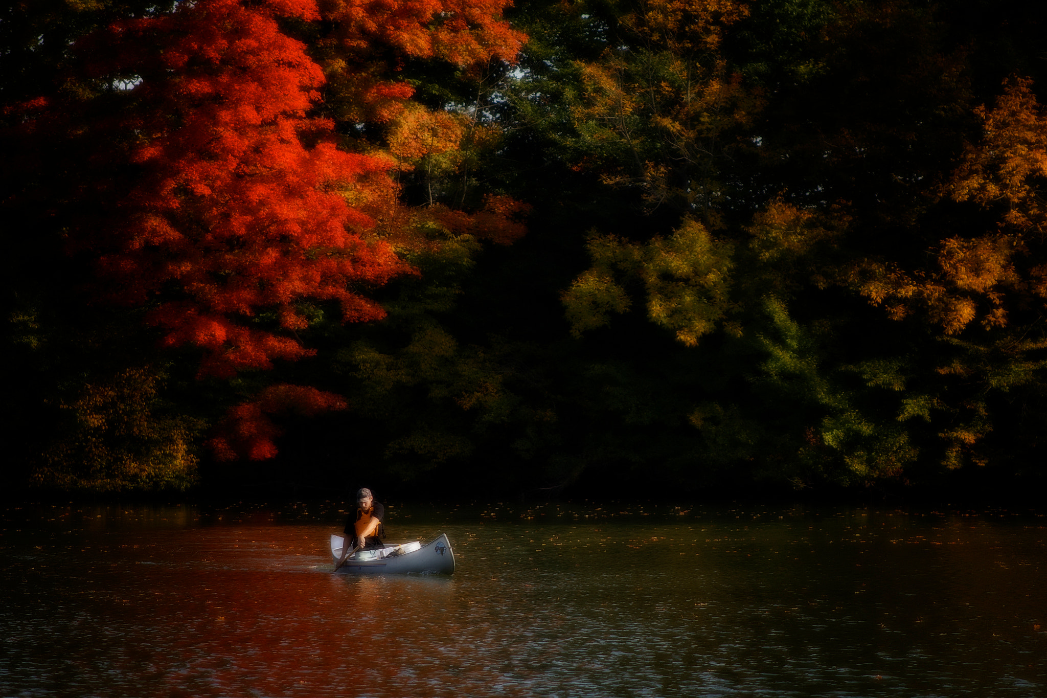 Canon EF 75-300mm f/4-5.6 USM sample photo. Fall paddle photography