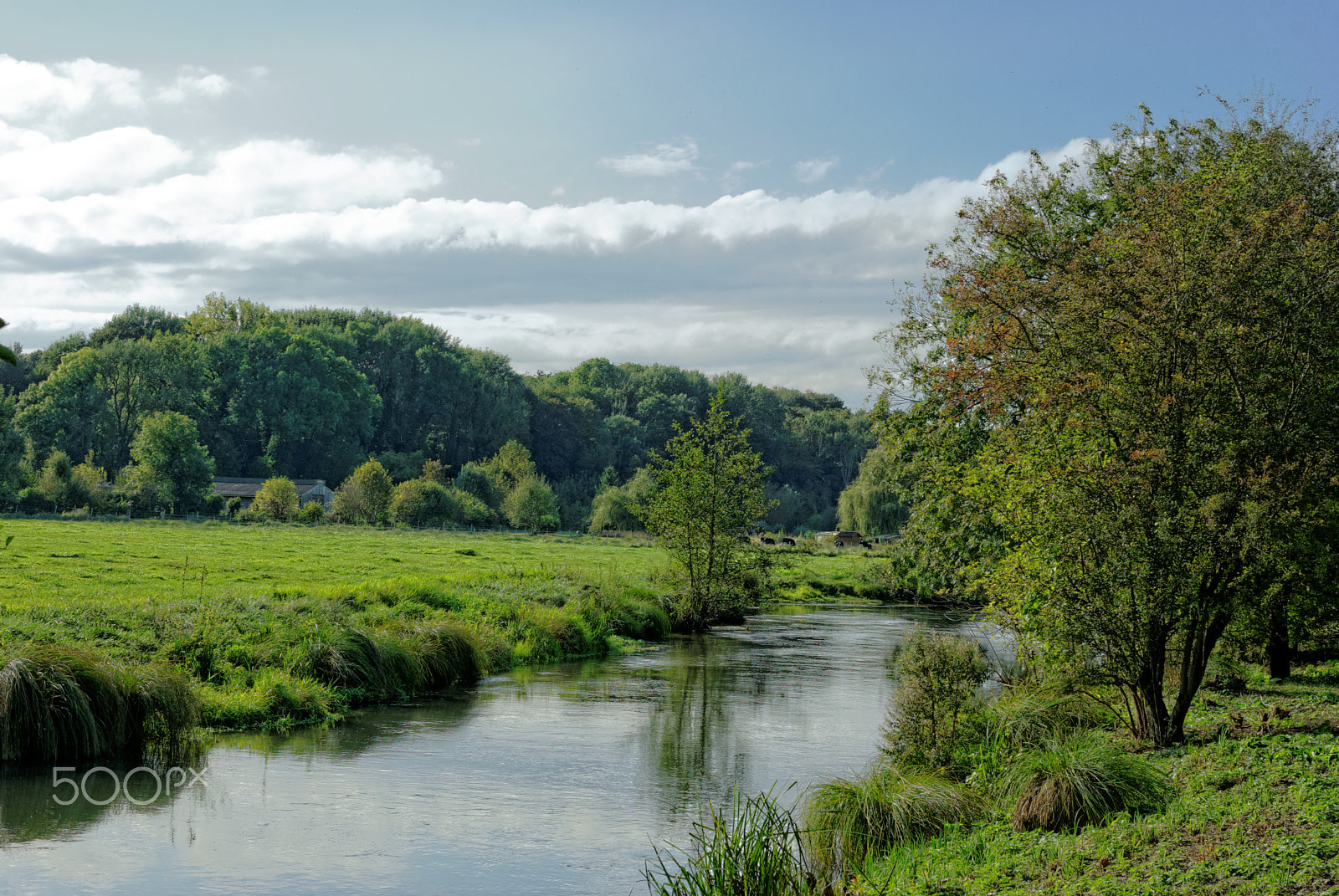 Pentax K10D sample photo. Colors of autumn in picardy photography