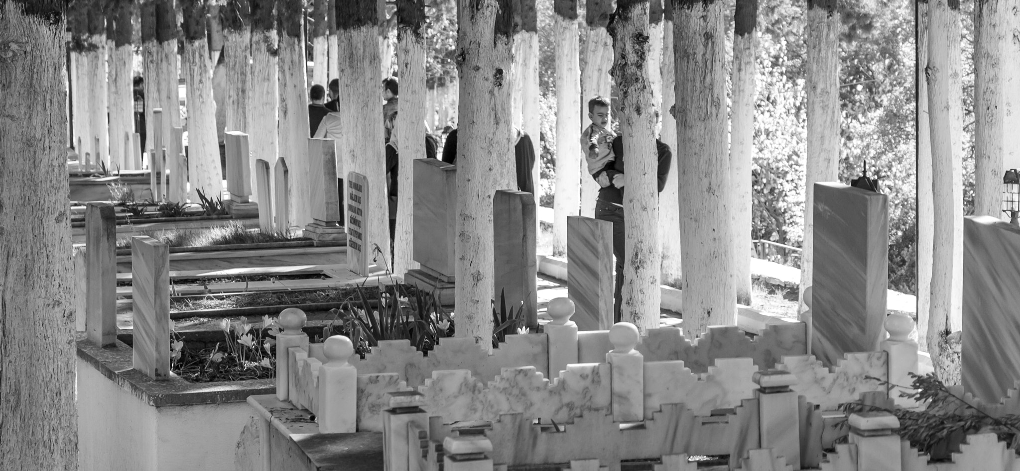 Canon EOS 50D sample photo. Living beside the death photography