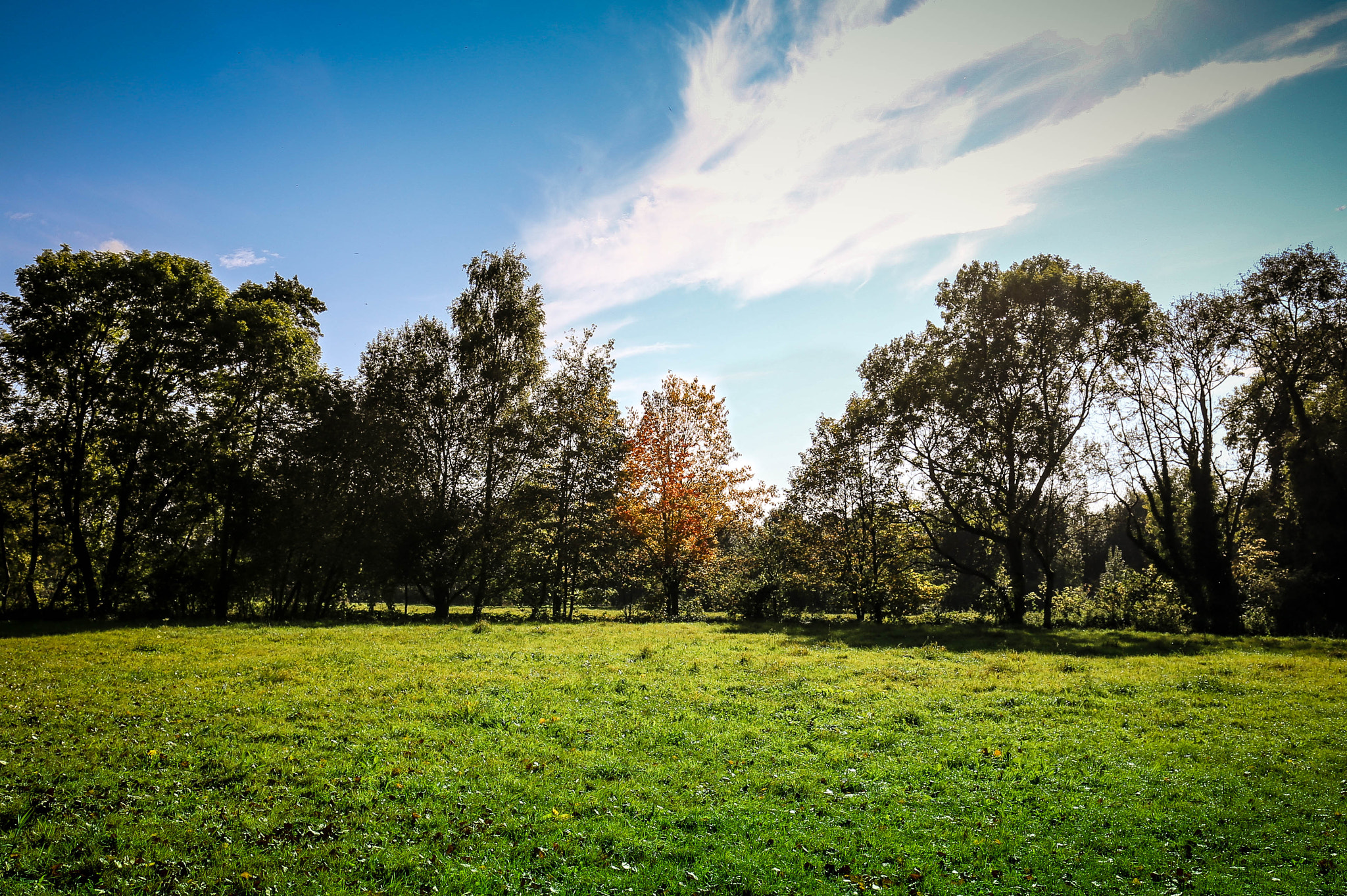 Canon EOS 6D + Canon EF 16-35mm F4L IS USM sample photo. Genneper parken photography