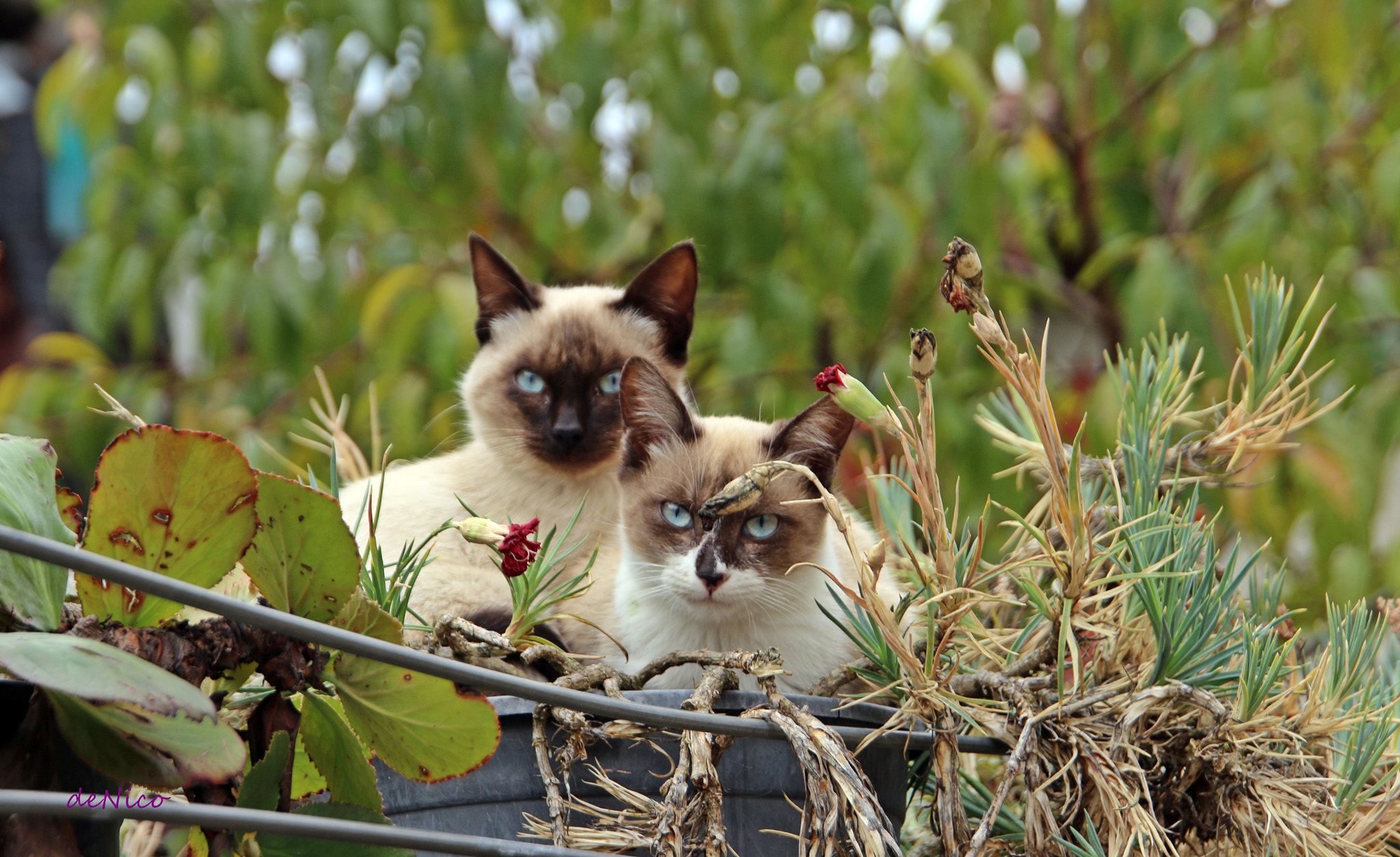 Sigma 24-105mm f/4 DG OS HSM | A sample photo. Img photography