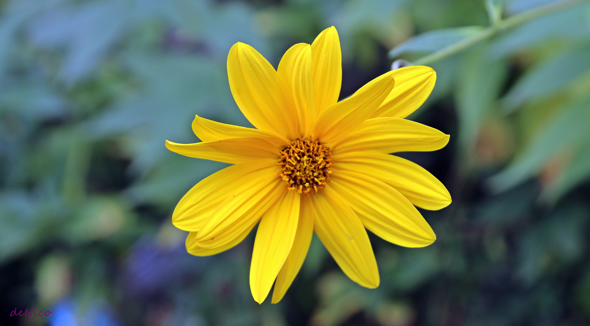 Sigma 24-105mm f/4 DG OS HSM | A sample photo. Img photography