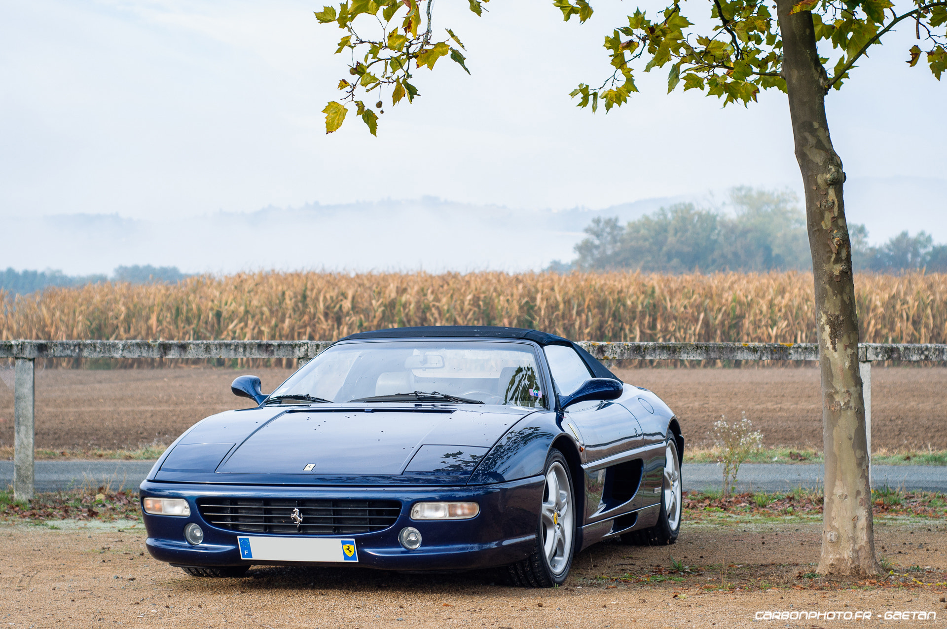 Nikon D90 + AF Nikkor 50mm f/1.8 sample photo. 355 spider photography