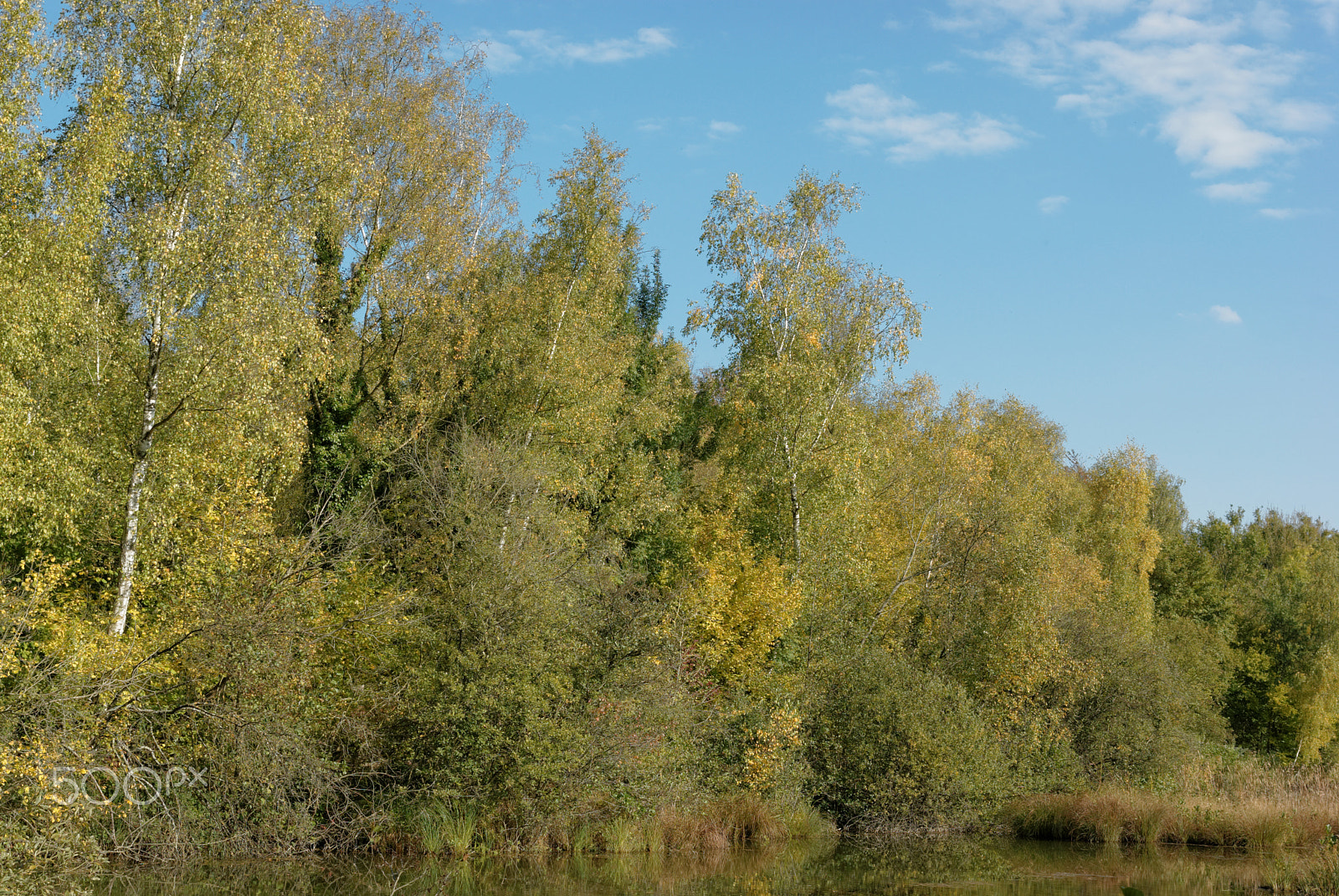 Pentax K10D sample photo. Colors of autumn in picardy photography