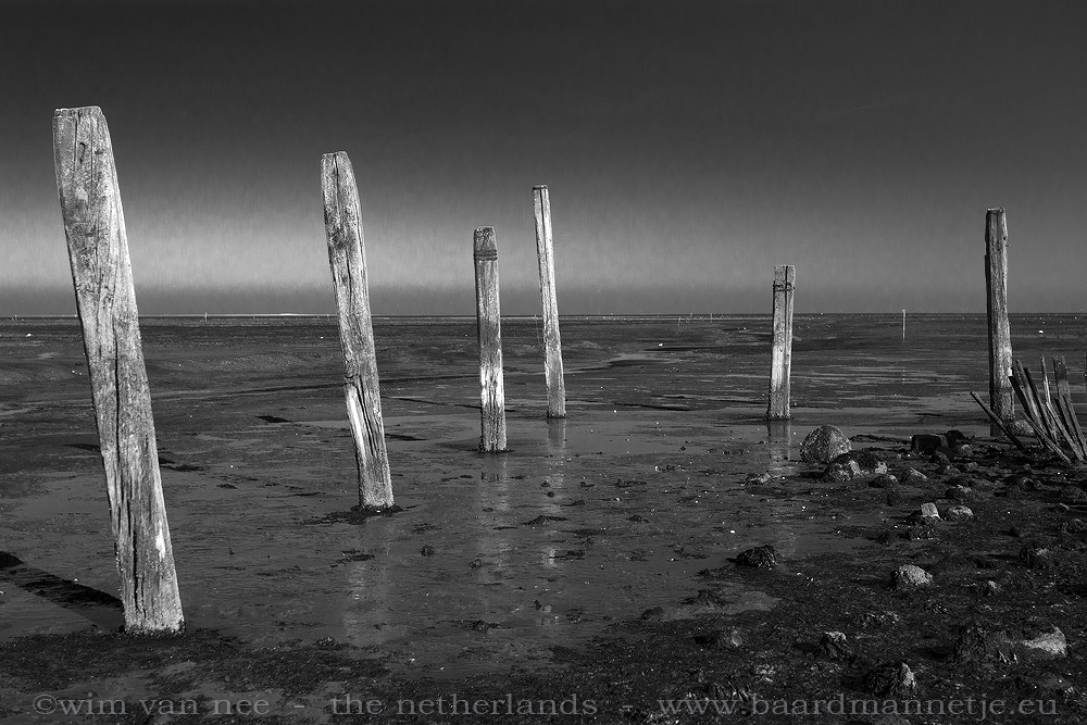 Nikon AF-S Nikkor 16-35mm F4G ED VR sample photo. Wadden sea photography