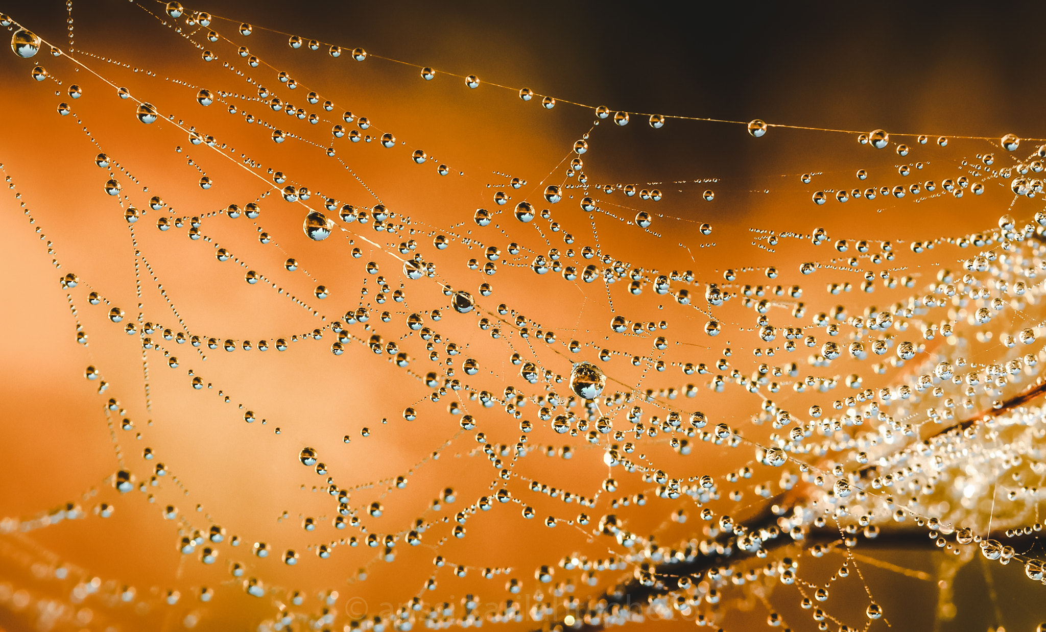 Sigma 105mm F2.8 EX DG OS HSM sample photo. Dropland photography