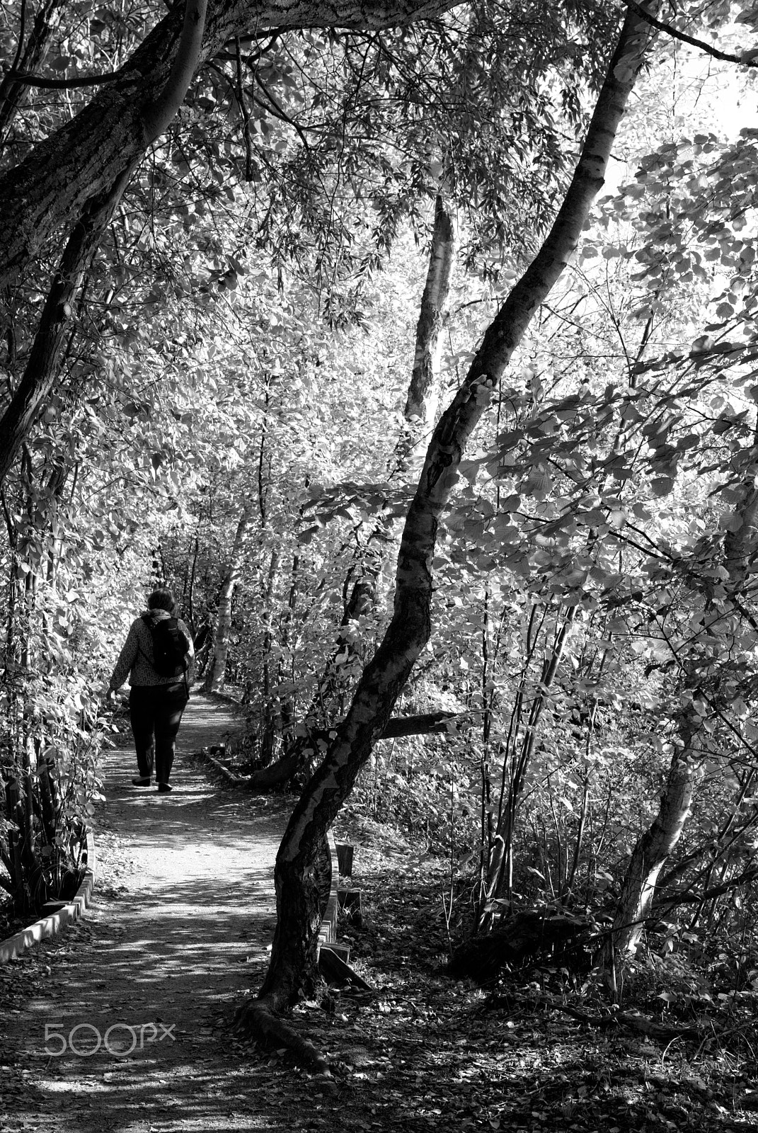 Pentax K10D sample photo. Colors of autumn in picardy photography