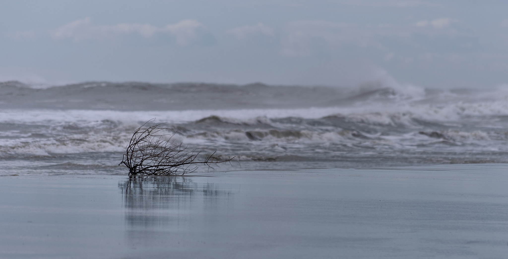 Nikon D4 sample photo. Storm... photography