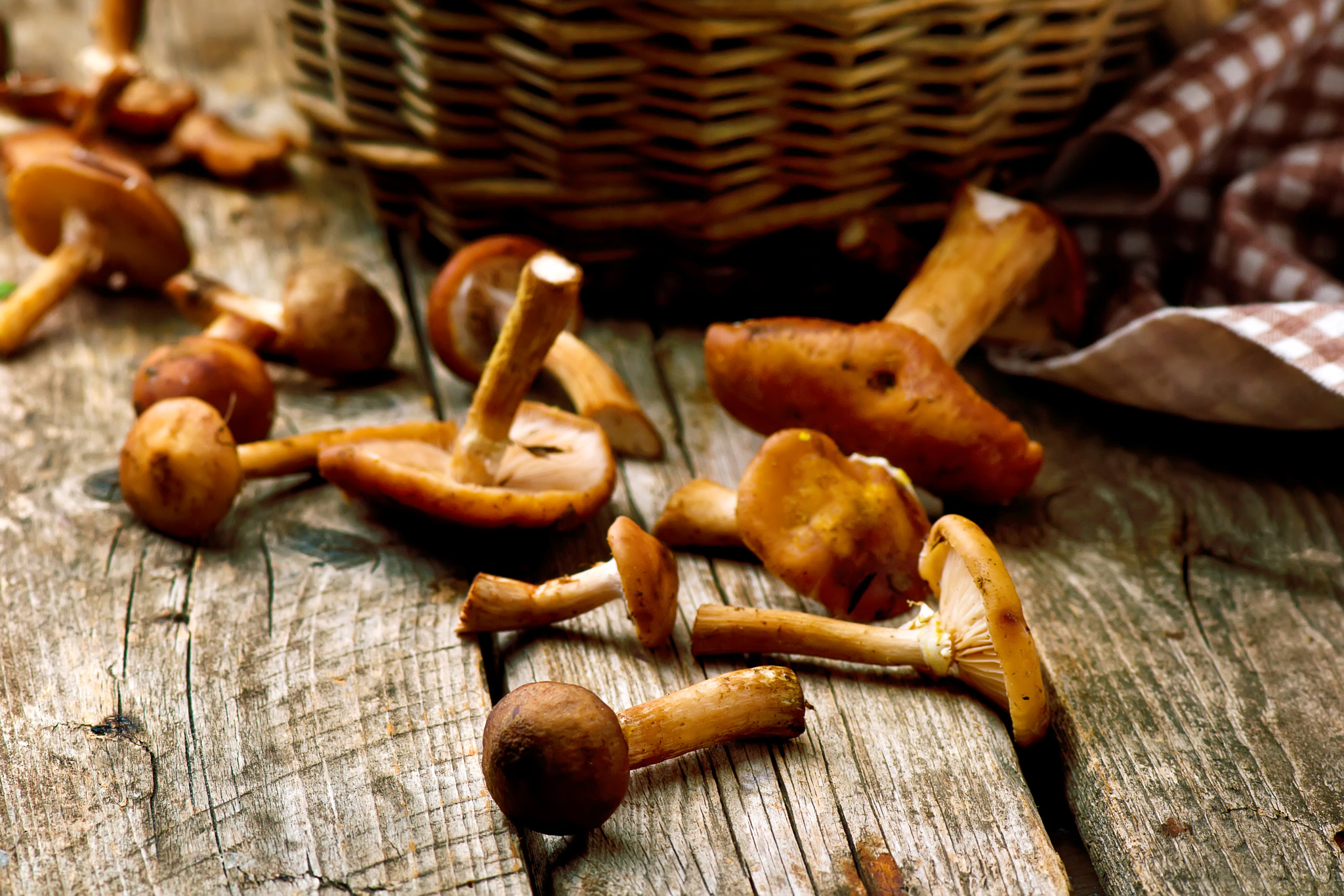 Nikon AF-S Micro-Nikkor 105mm F2.8G IF-ED VR sample photo. Honey fungus  on an old wooden table photography