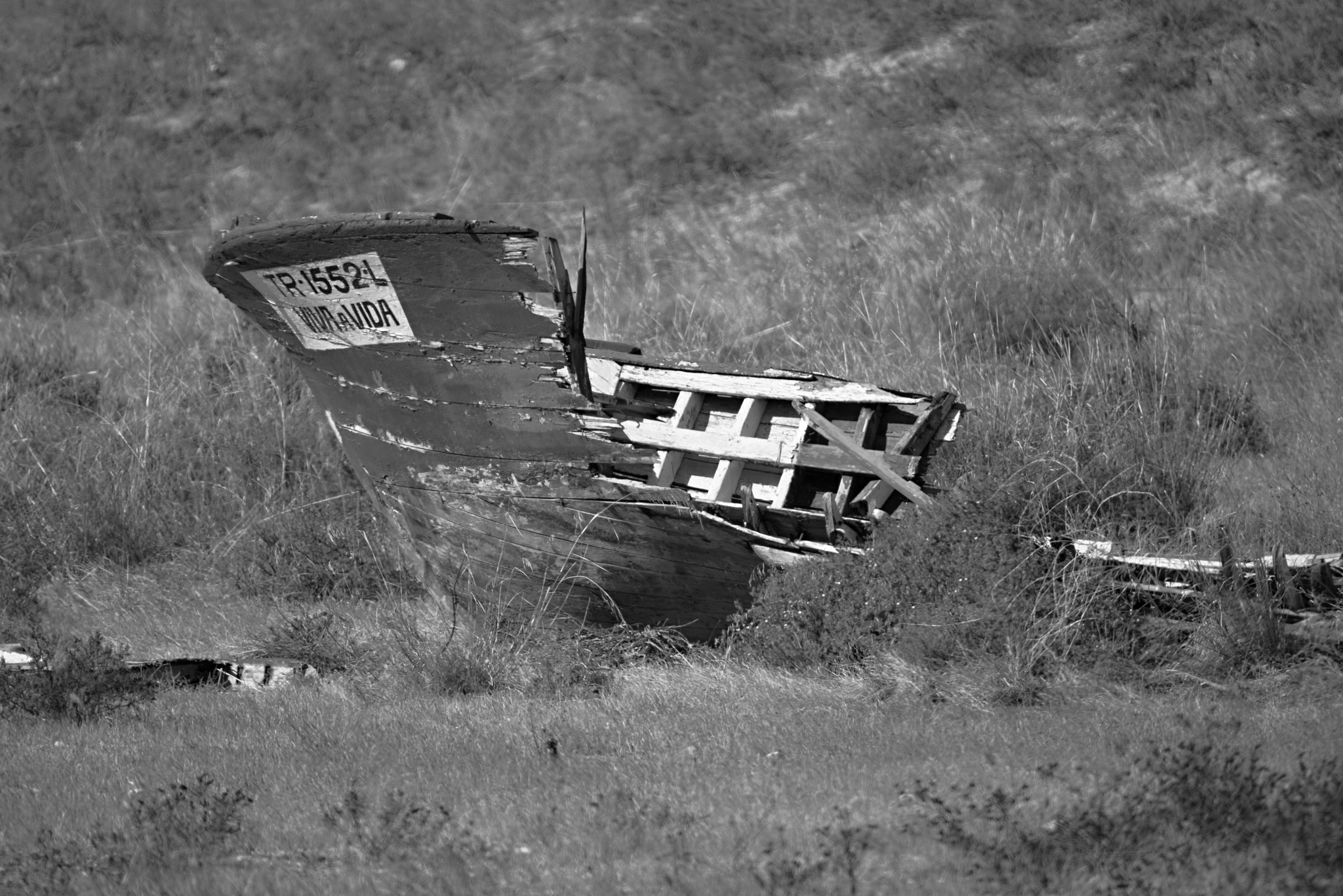 Sigma 150-500mm F5-6.3 DG OS HSM sample photo. Fim bde vida photography