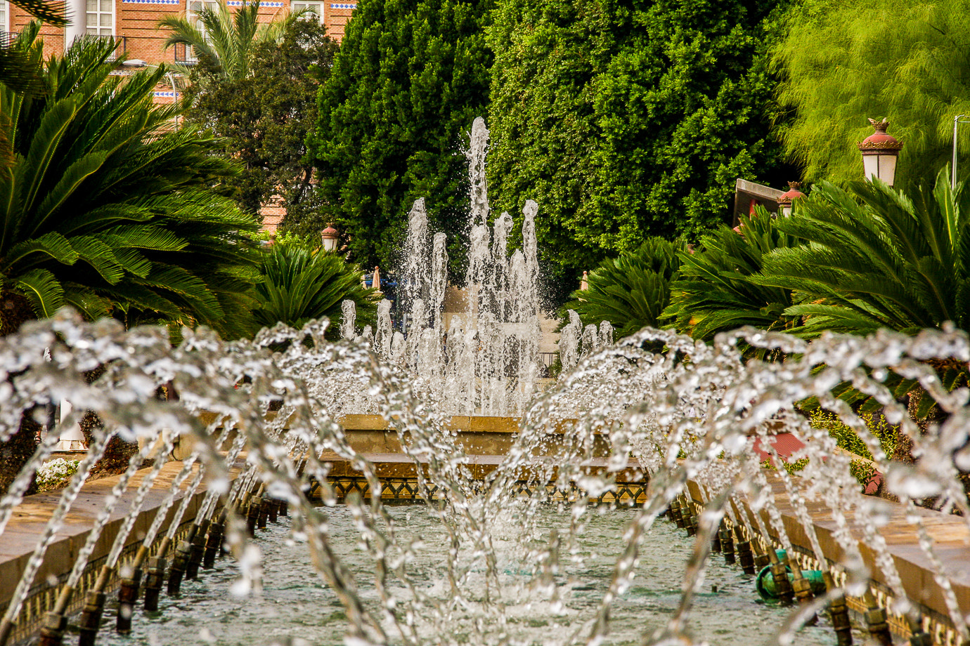 Canon EOS 40D sample photo. Fuente photography