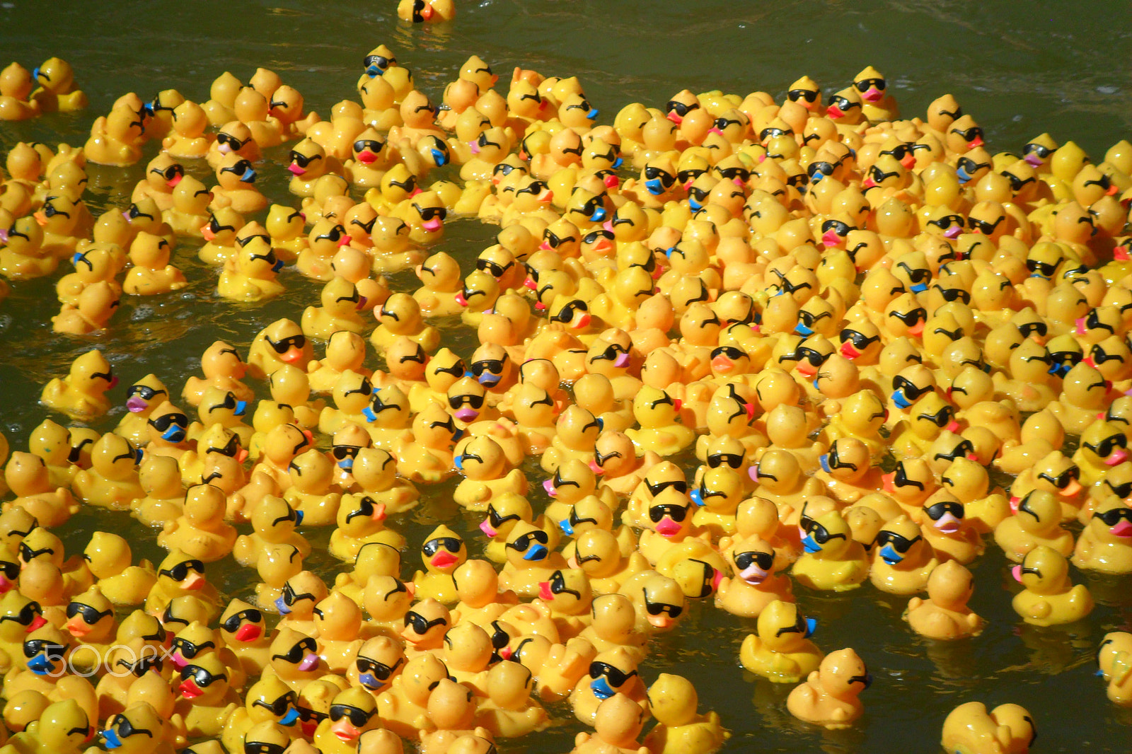 Samsung ES73 / VLUU ES73 /  SL605 sample photo. Rubber ducks photography