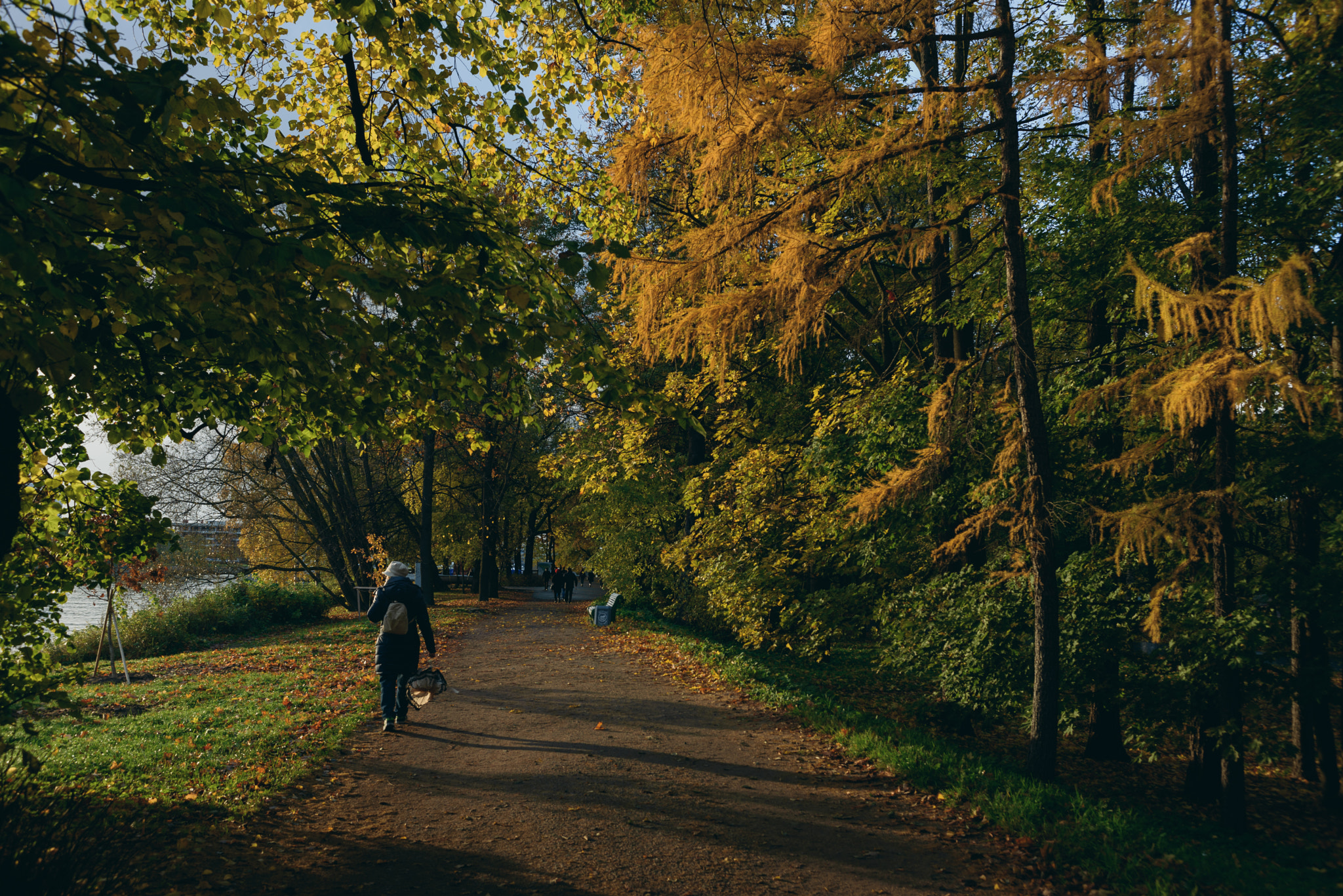 Nikon AF-S Nikkor 28-70mm F2.8 ED-IF sample photo. Two weeks before the beauty of autumn gone photography