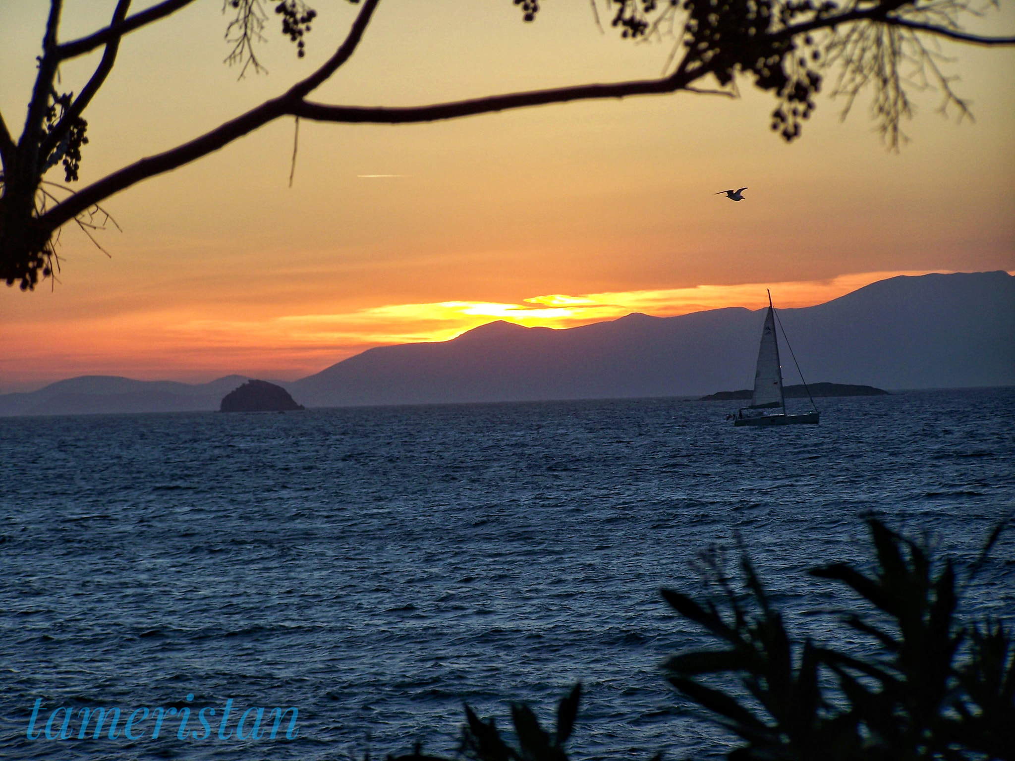 Kodak EASYSHARE Z710 ZOOM DIGITAL CAMERA sample photo. Sunset from turgutreis. photography
