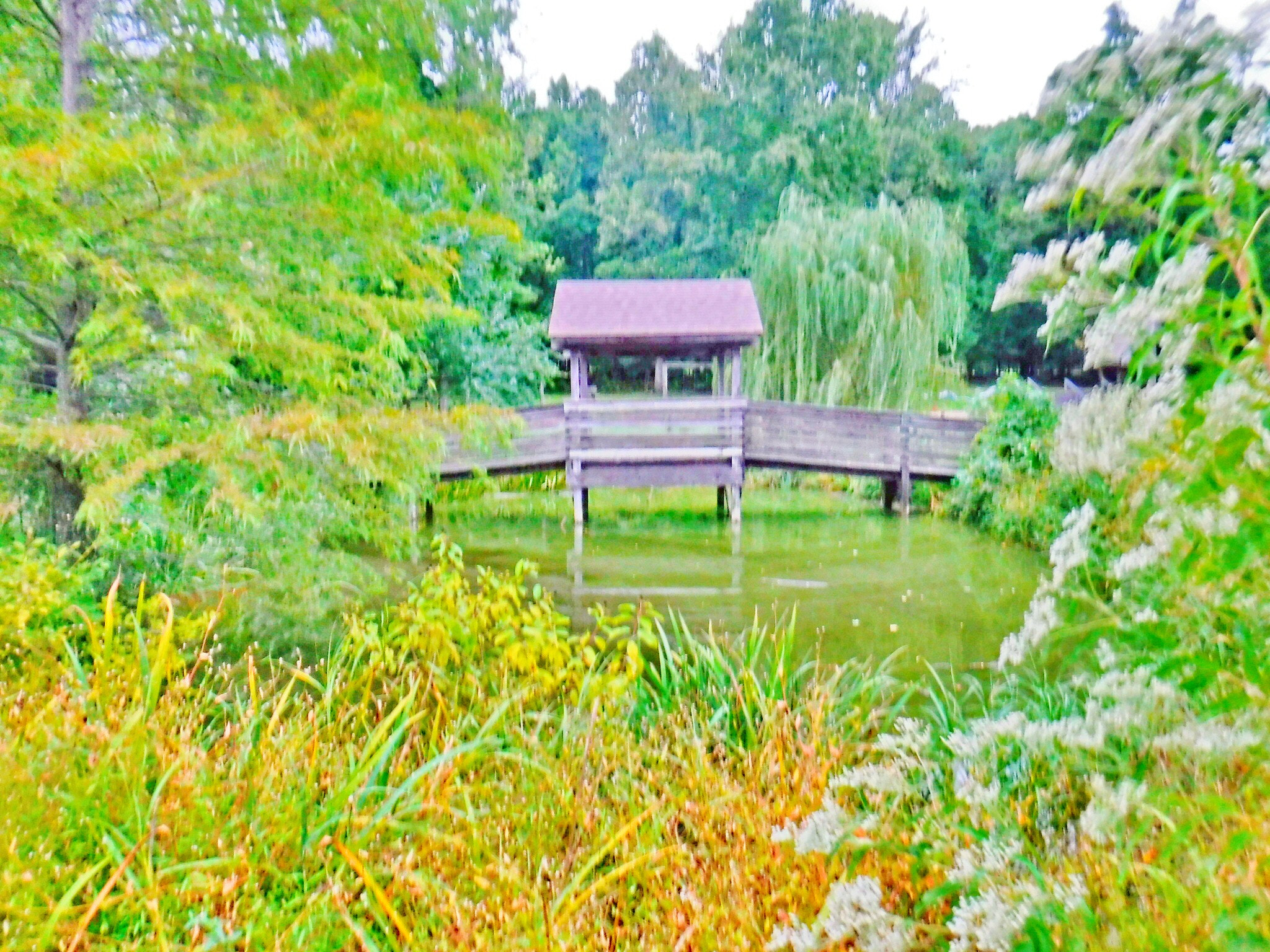 Fujifilm FinePix XP90 XP91 XP95 sample photo