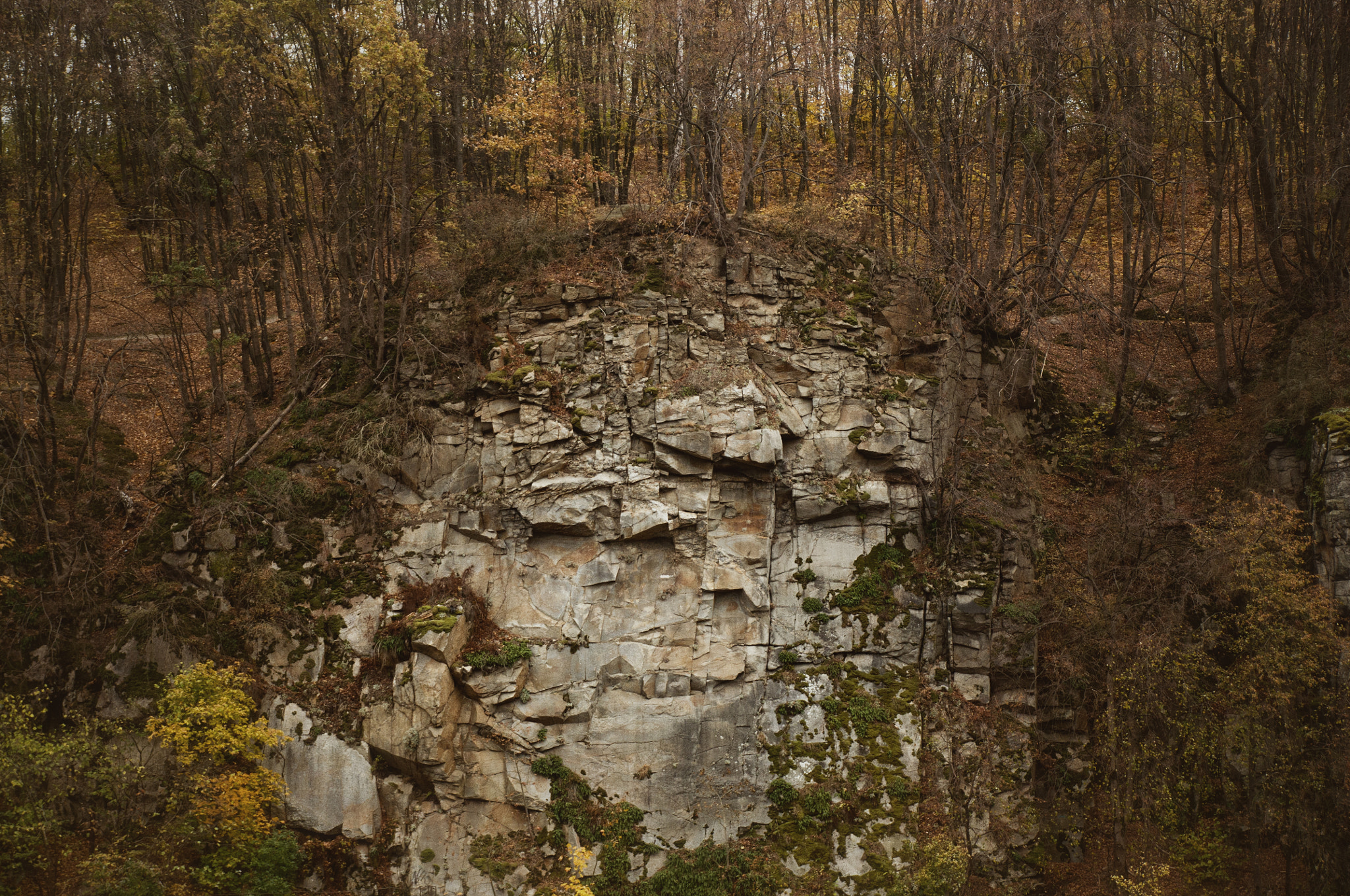 Nikon D300S sample photo. Rock-1 photography