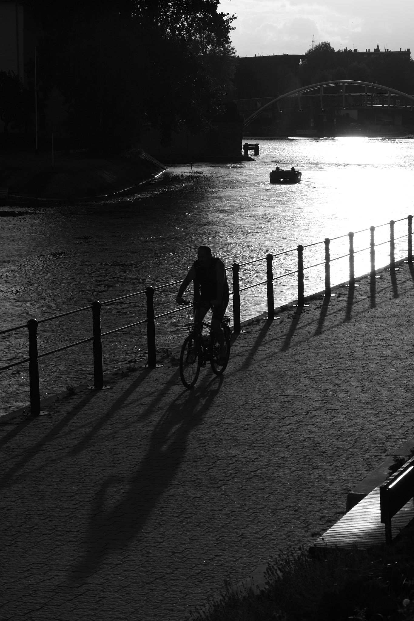 Canon EOS 500D (EOS Rebel T1i / EOS Kiss X3) + Canon EF 24-105mm F4L IS USM sample photo. Cyclist photography