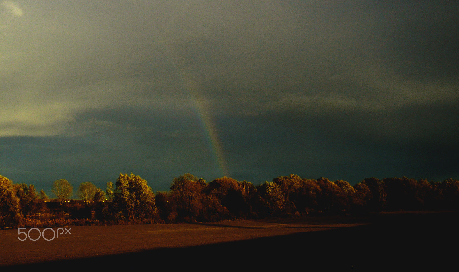 Panasonic DMC-LS70 sample photo. After the storm photography