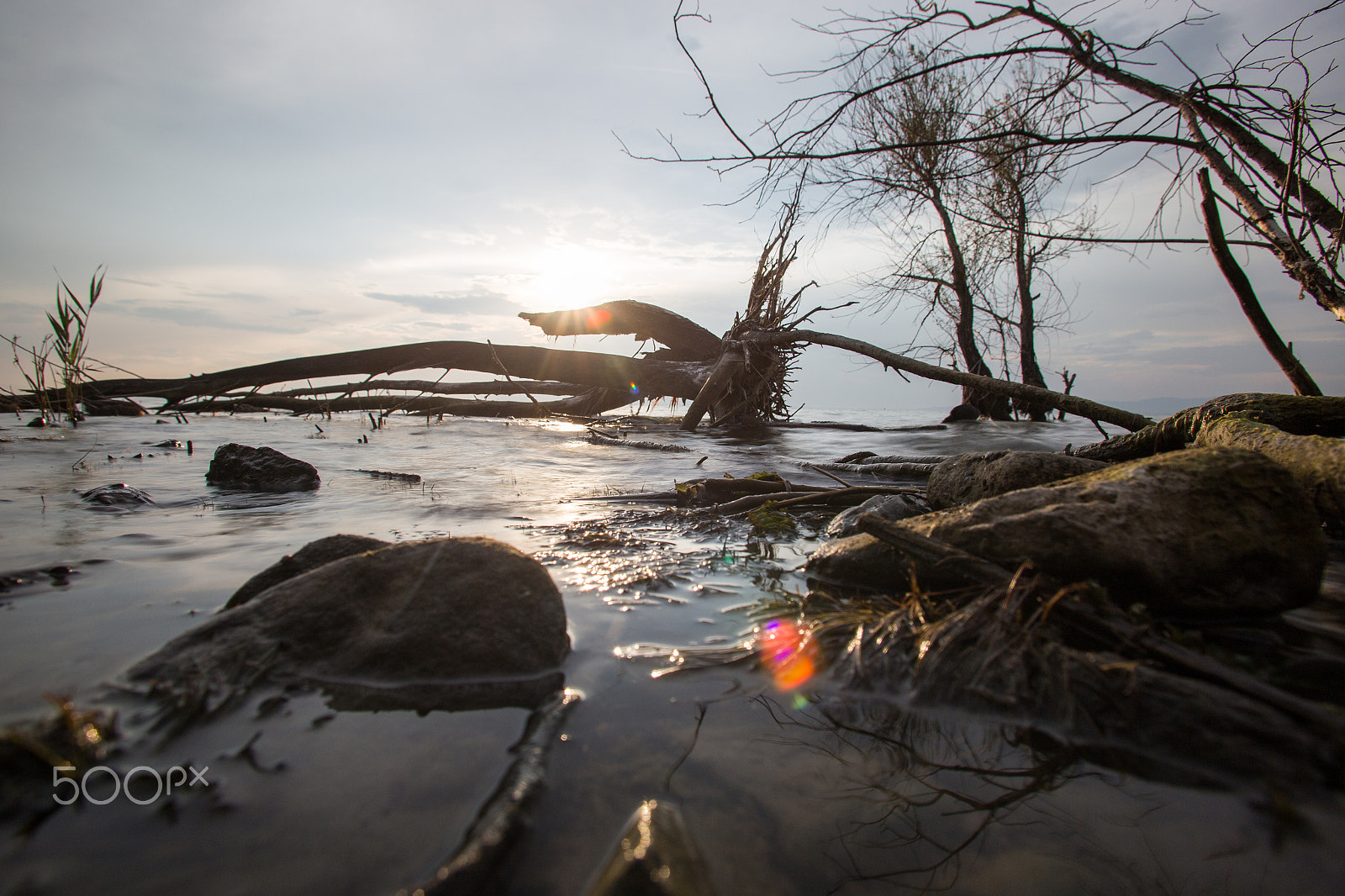 Canon EF 17-35mm f/2.8L sample photo. Sun photography