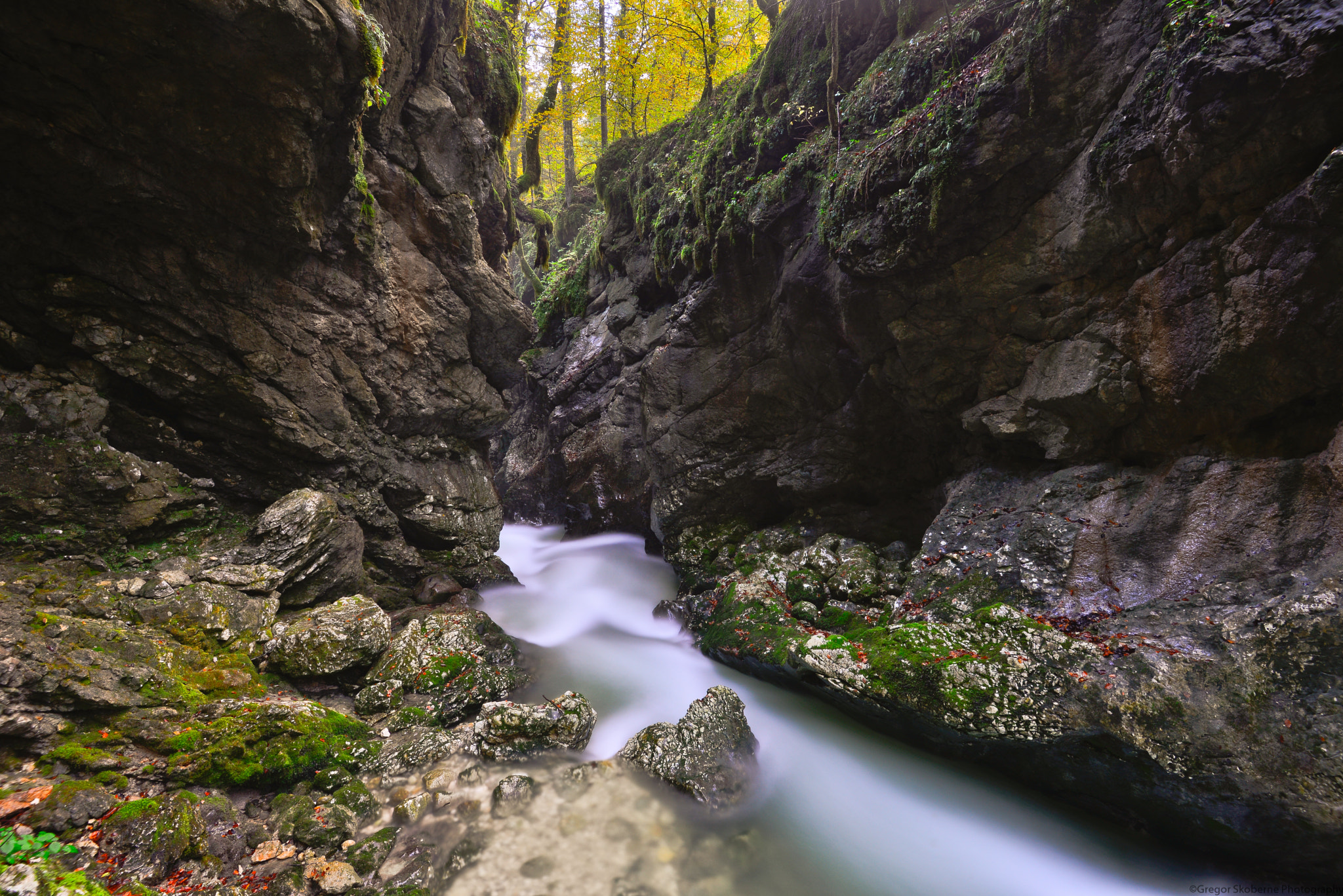 Nikon D600 + Zoom-Nikkor 1200-1700mm f/5.6-8 P ED IF sample photo. Mostnica gorge photography