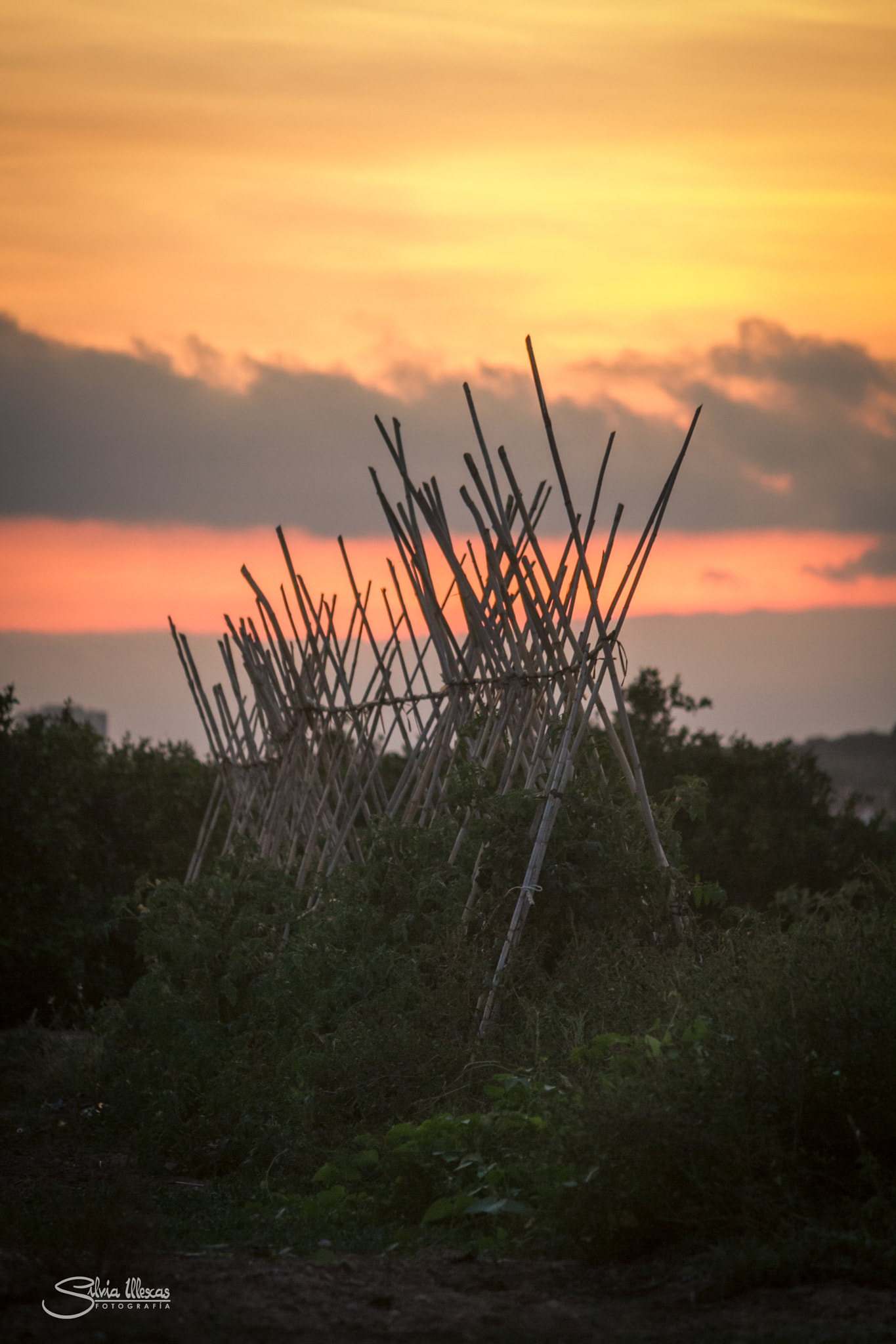 Canon EF-S 55-250mm F4-5.6 IS sample photo. Cabañas photography