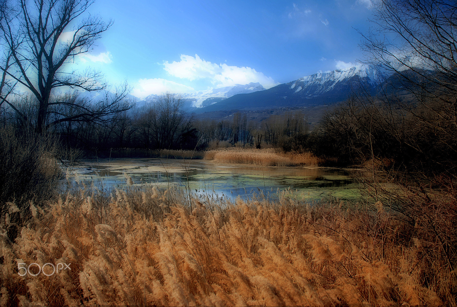 Nikon D40X sample photo. Maximage - p h o t o g r a p h y photography
