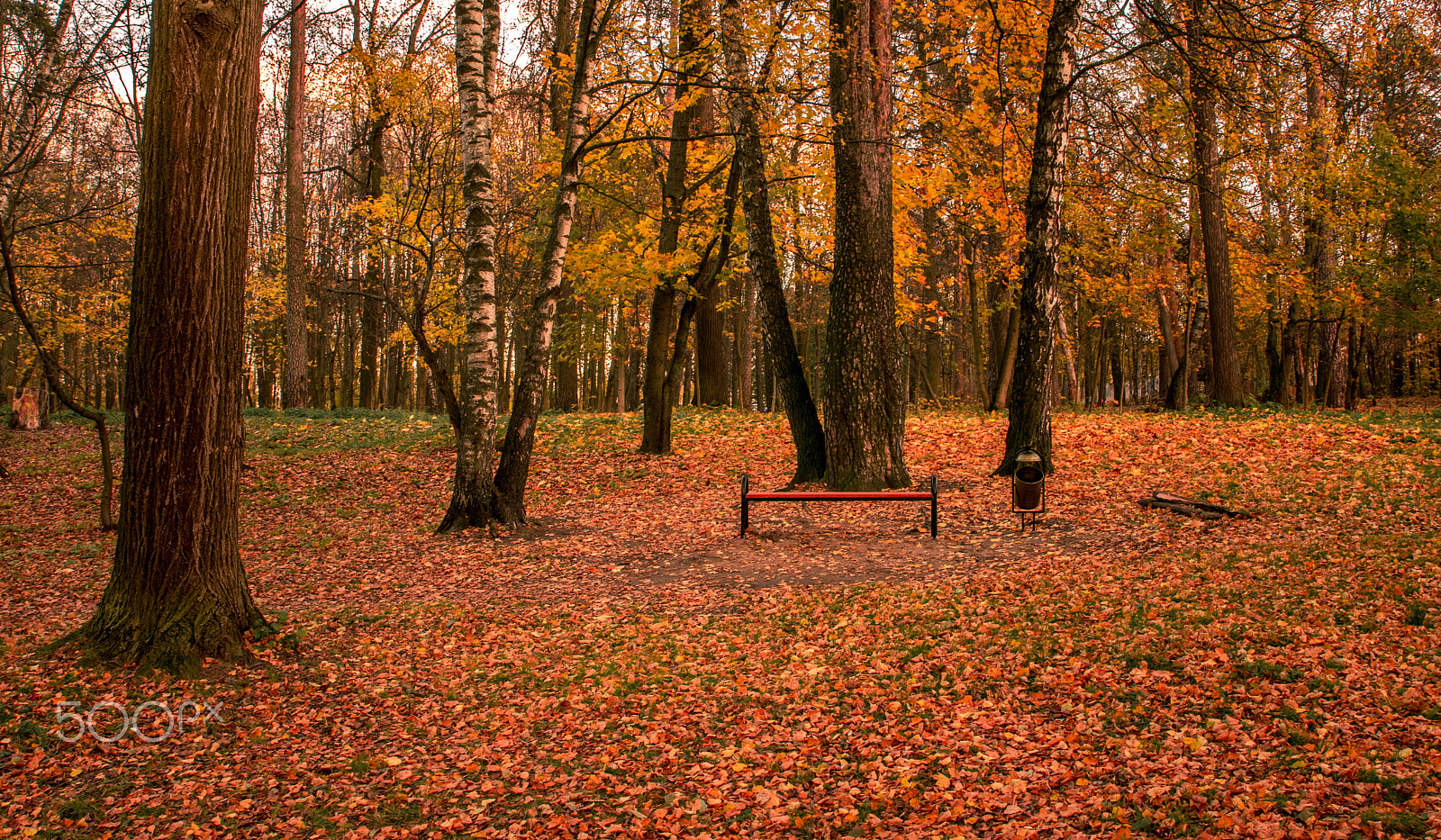 Tamron SP 24-70mm F2.8 Di VC USD sample photo. Autumn colors photography