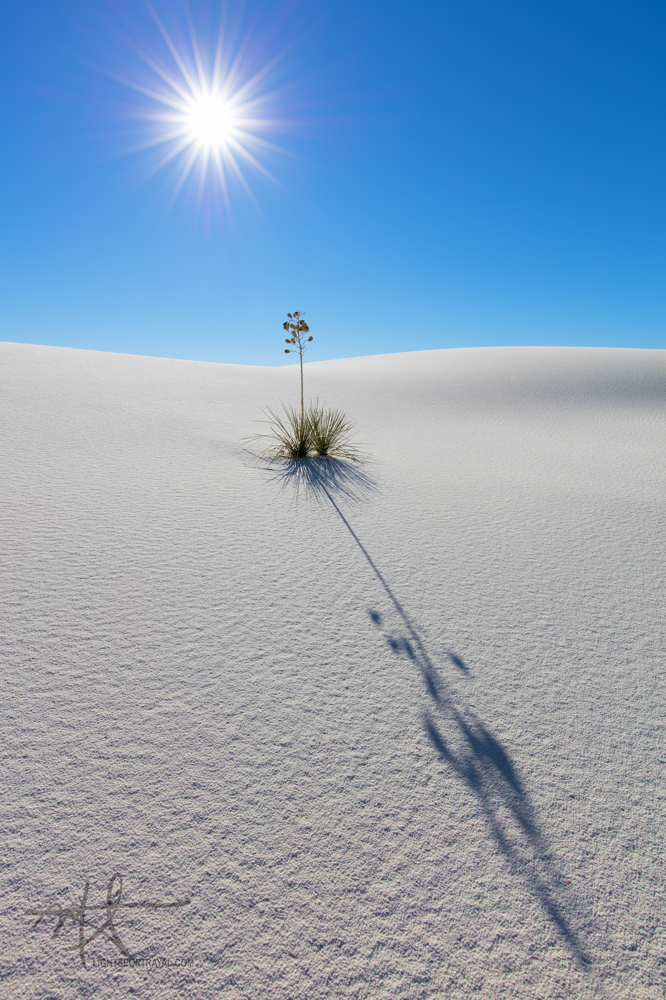 Canon EOS 5DS R + Canon EF 16-35mm F4L IS USM sample photo. White sands photography