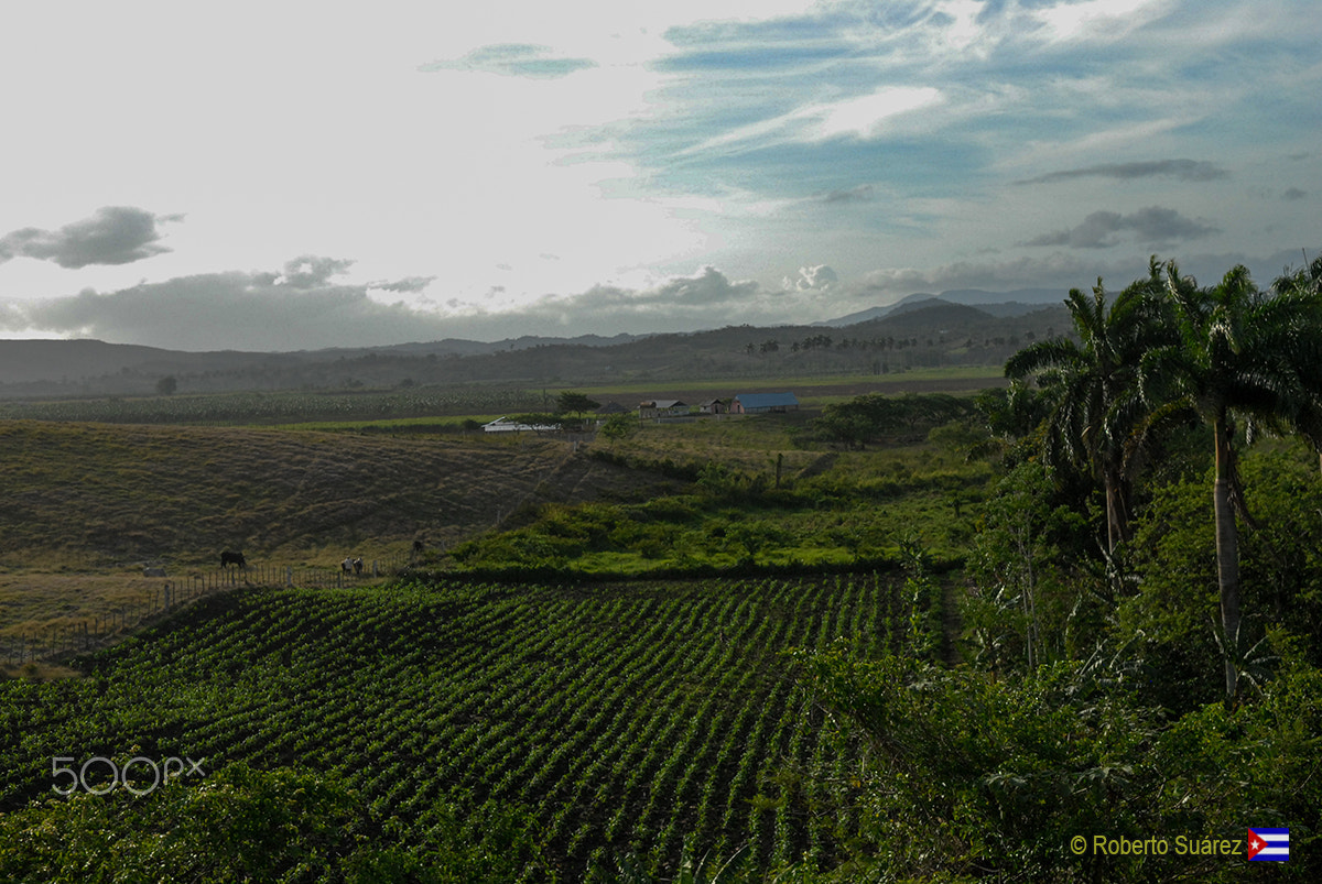 Nikon D200 sample photo. Paisaje de holguin photography