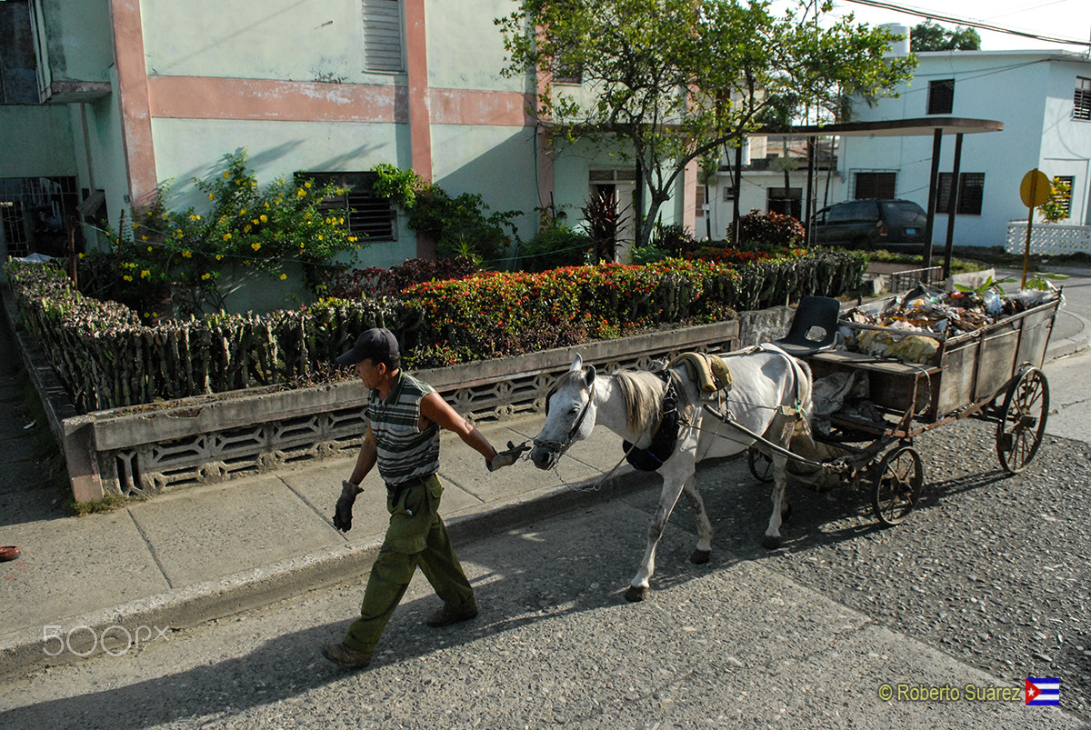 Nikon D200 sample photo. La basura photography