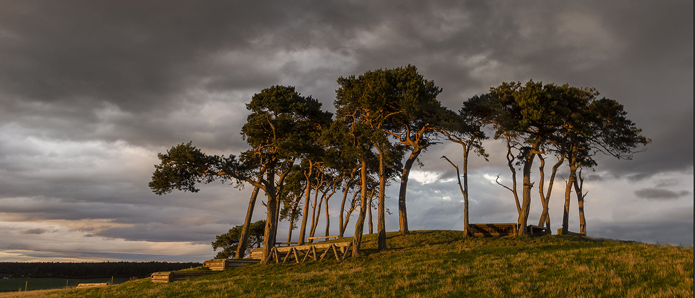 Sigma 18-50mm F2.8-4.5 DC OS HSM sample photo. Copse photography