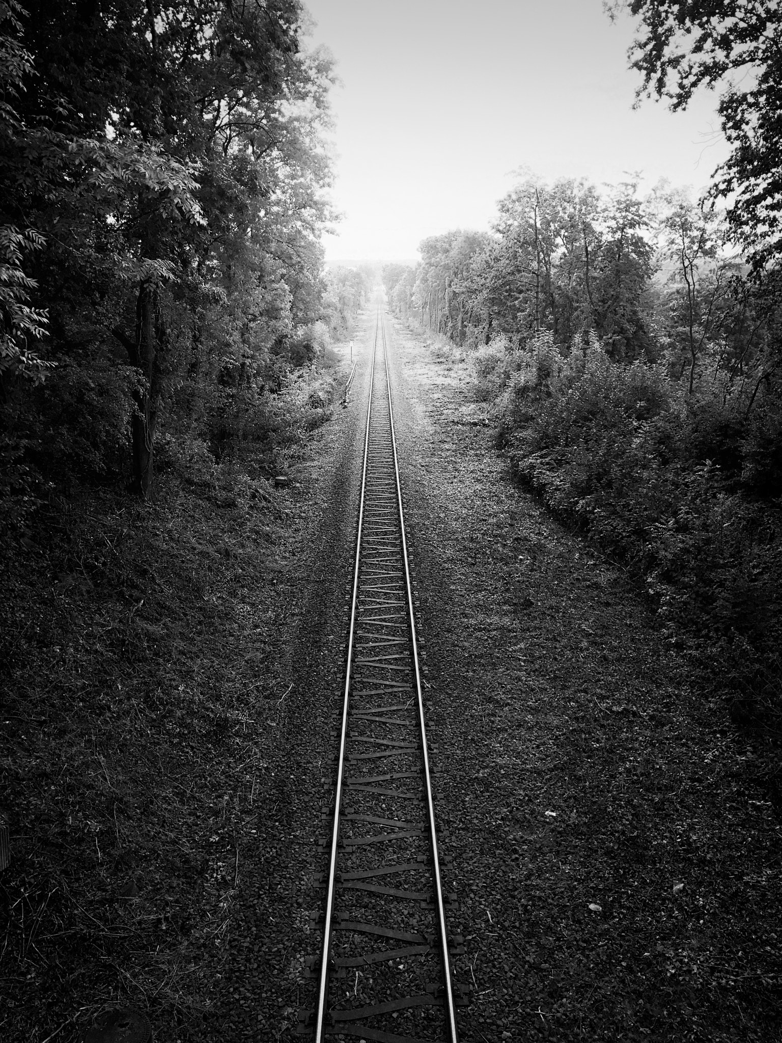 Apple iPhone 7 Plus sample photo. Tracks photography