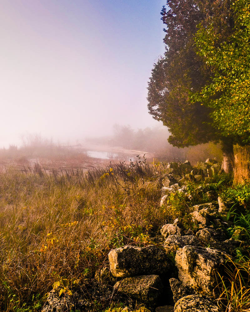 Panasonic Lumix DMC-GX85 (Lumix DMC-GX80 / Lumix DMC-GX7 Mark II) sample photo. Sunrise over the foggy beach photography