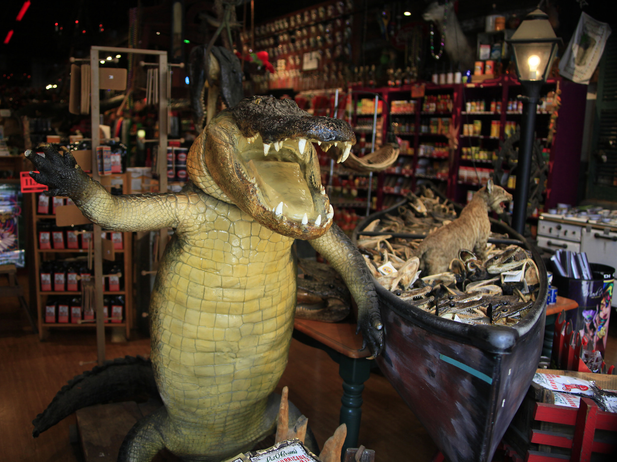 Canon EF 28-80mm f/2.8-4L sample photo. New orleans photography
