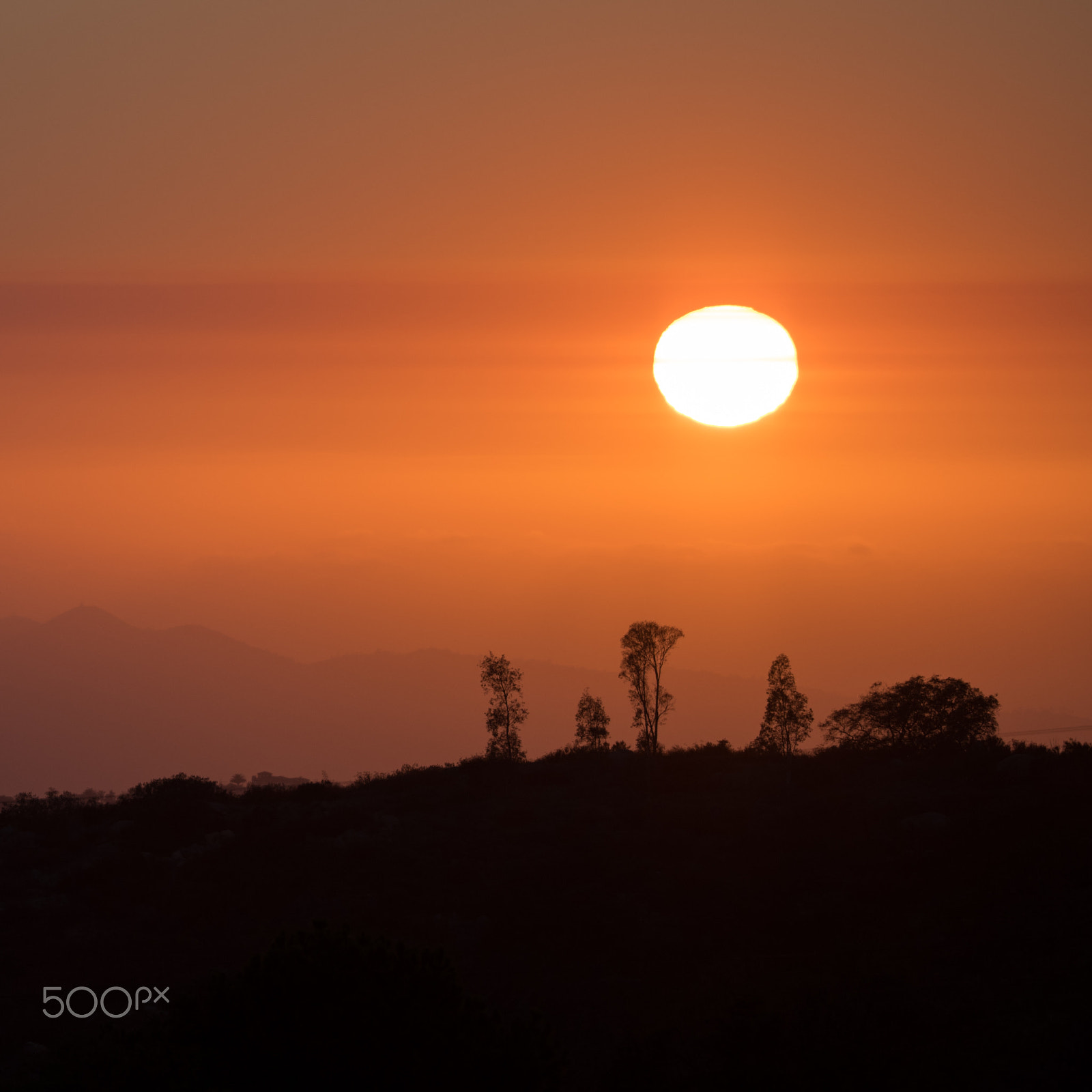 Nikon AF-S Nikkor 200mm F2G ED VR II sample photo. Sunset photography